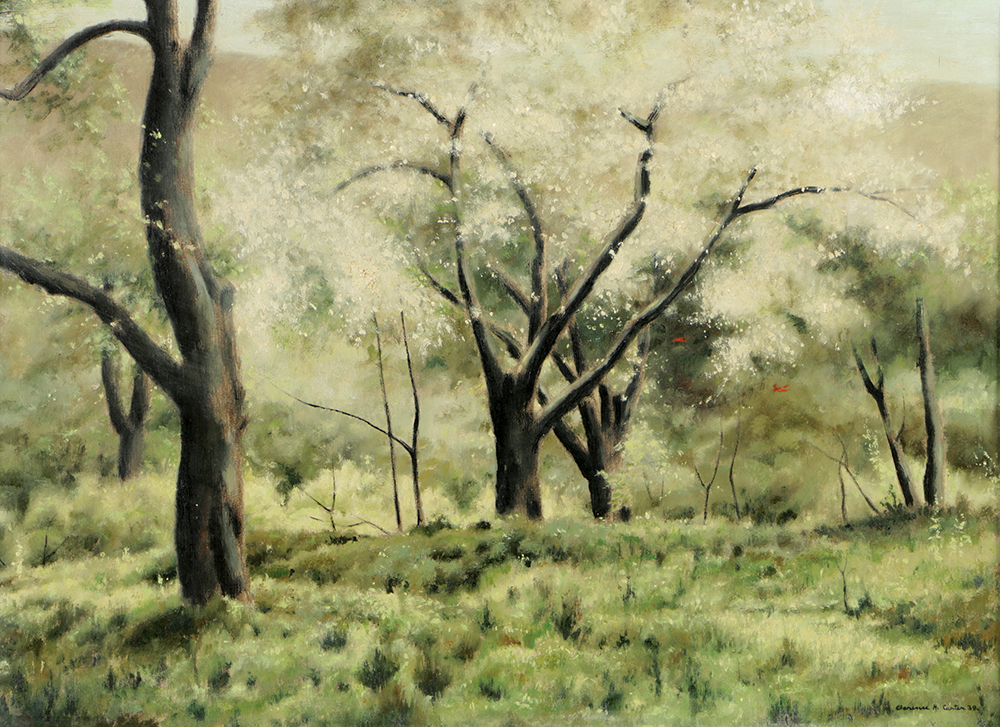 Clarence Holbrook Carter Oil Painting on Canvas "Trees at Bloom"