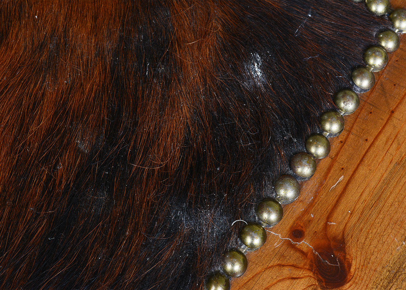 Cow Hide Coffee Table