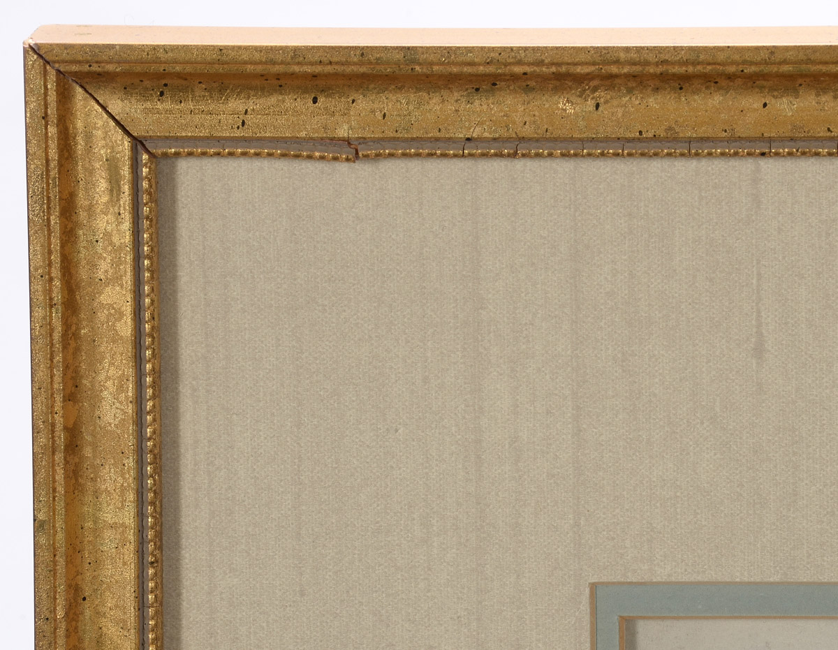 Georg Dionysius Ehret Antique Original 1747 Gouache Botanical Illustration on Vellum