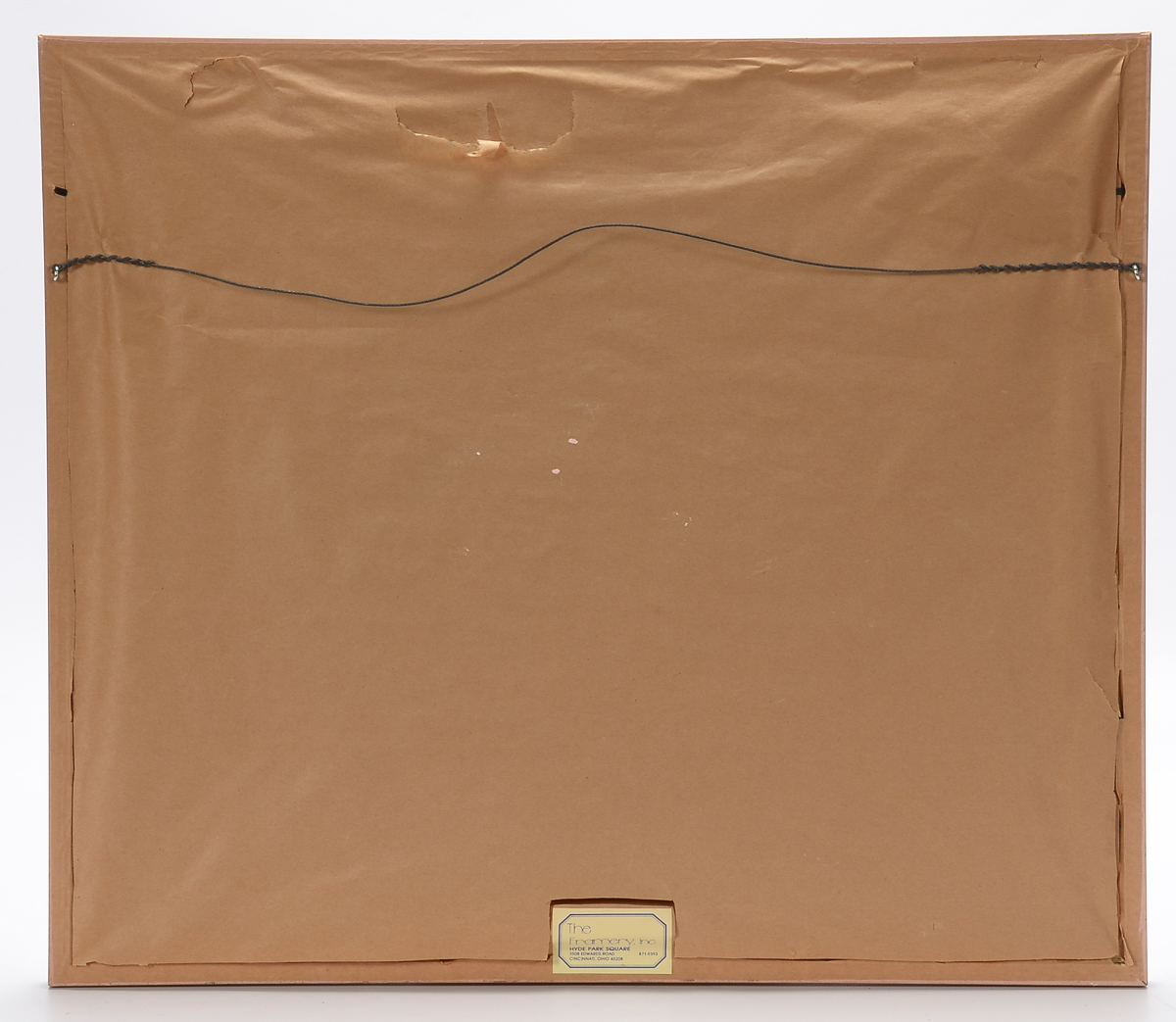 Georg Dionysius Ehret Antique Original 1747 Gouache Botanical Illustration on Vellum