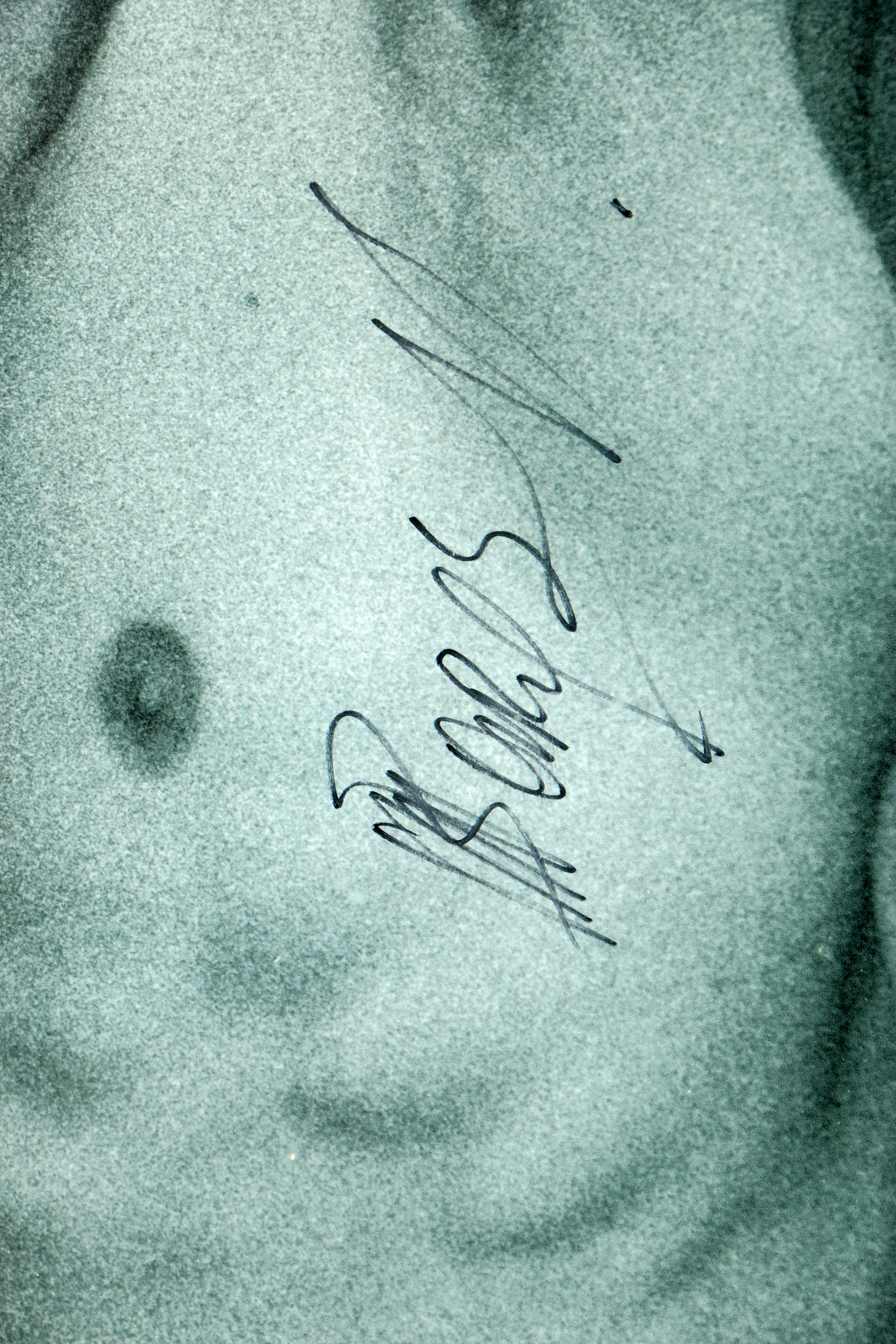 Autographed Mikhail Baryshnikov Poster