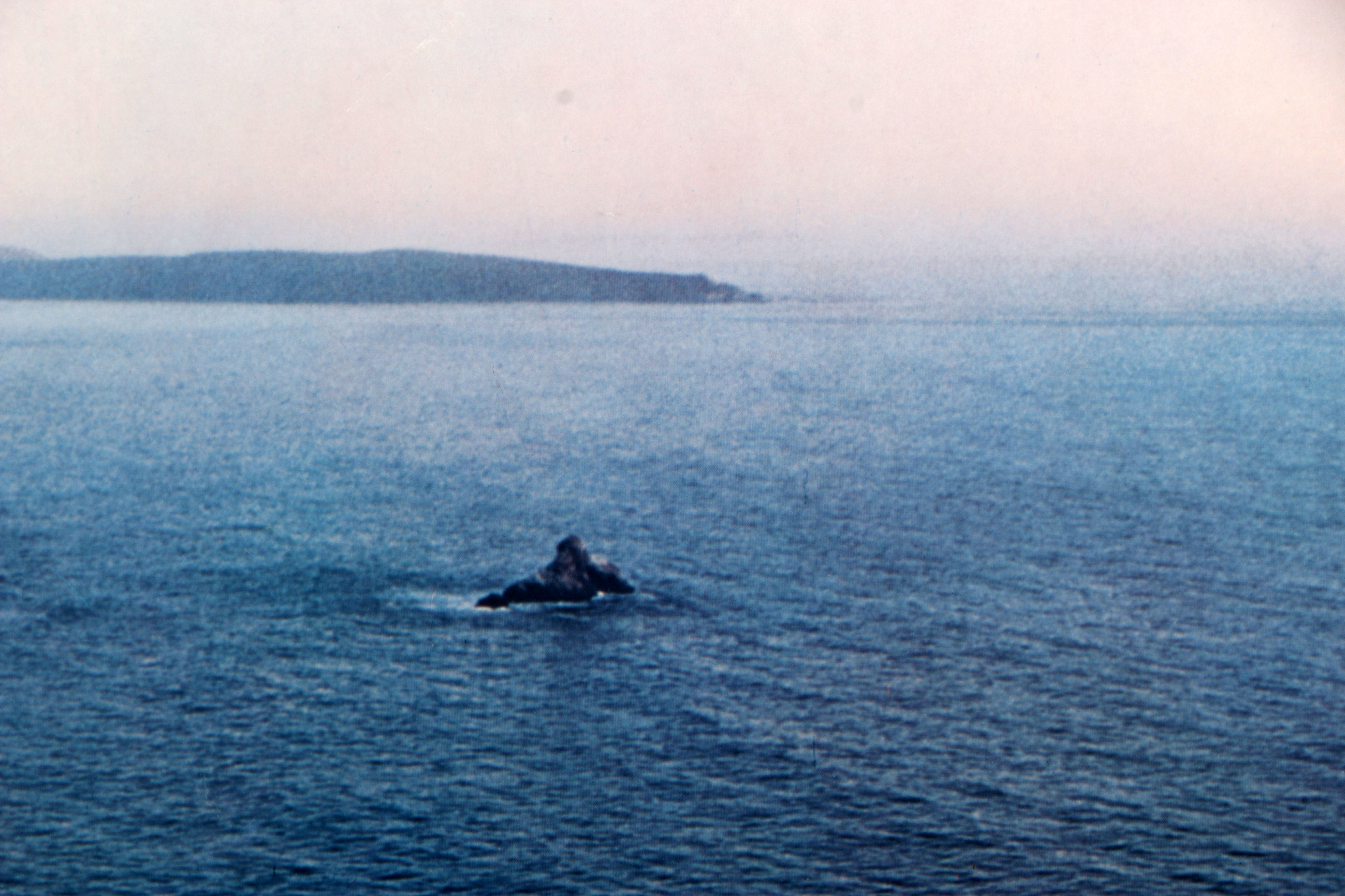 Offset Lithograph on Paper "Running Fence" Installation After Christo