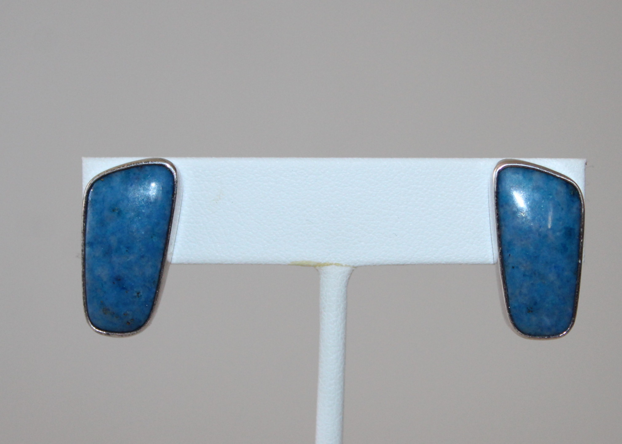 Southwest Style Earrings and Vintage Roadrunner Pin