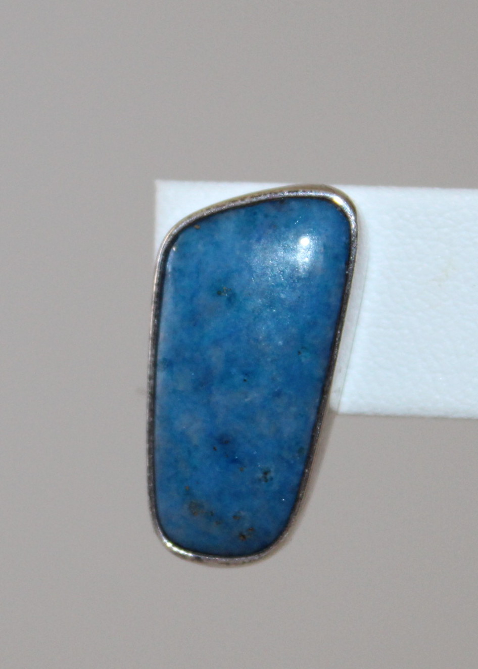 Southwest Style Earrings and Vintage Roadrunner Pin