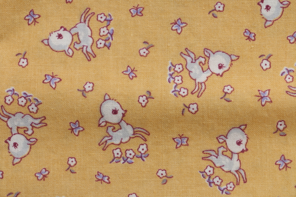 Quilting Fabric Pieces Including Judie Rothermel