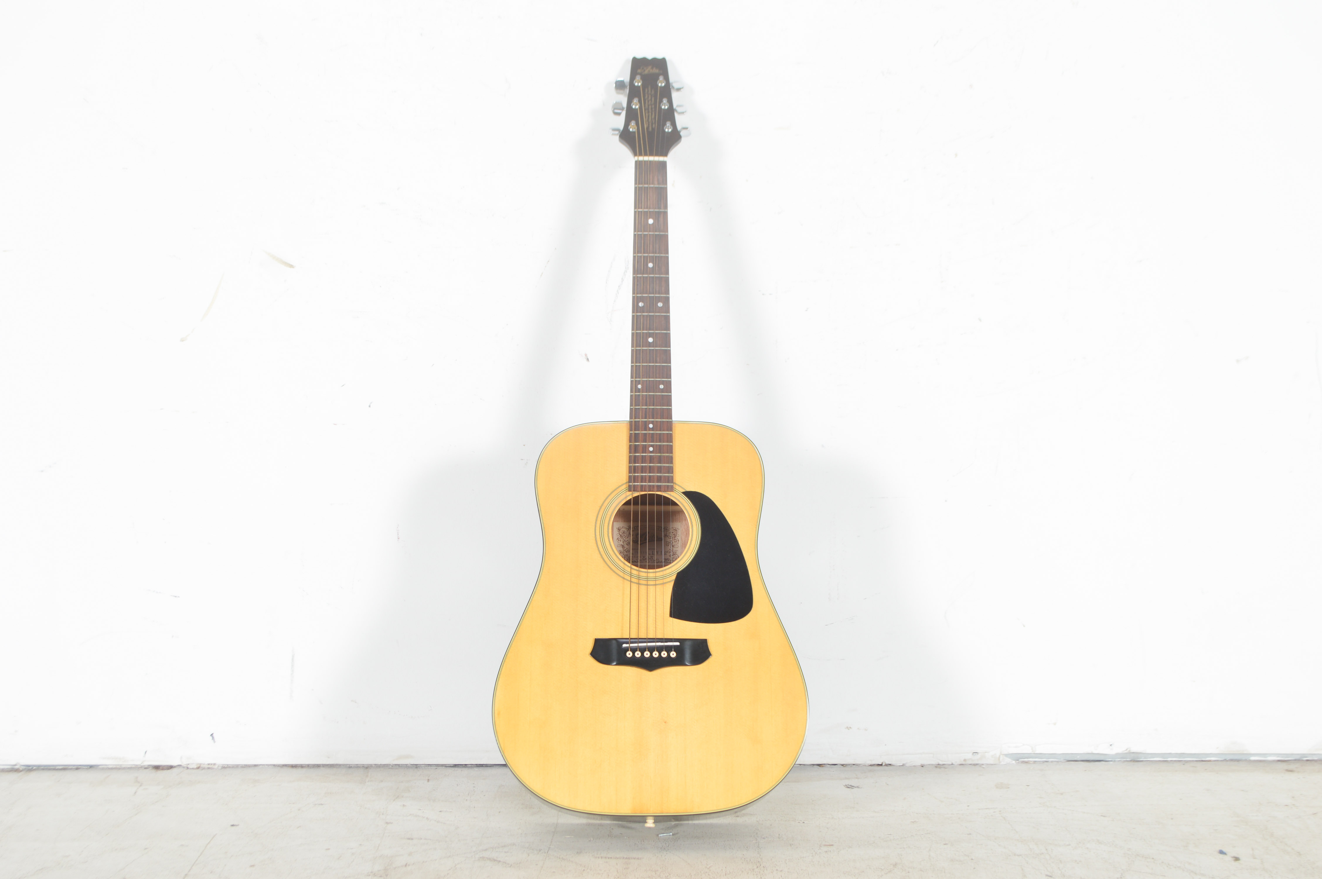 Vintage Aria Acoustic Guitar and Case