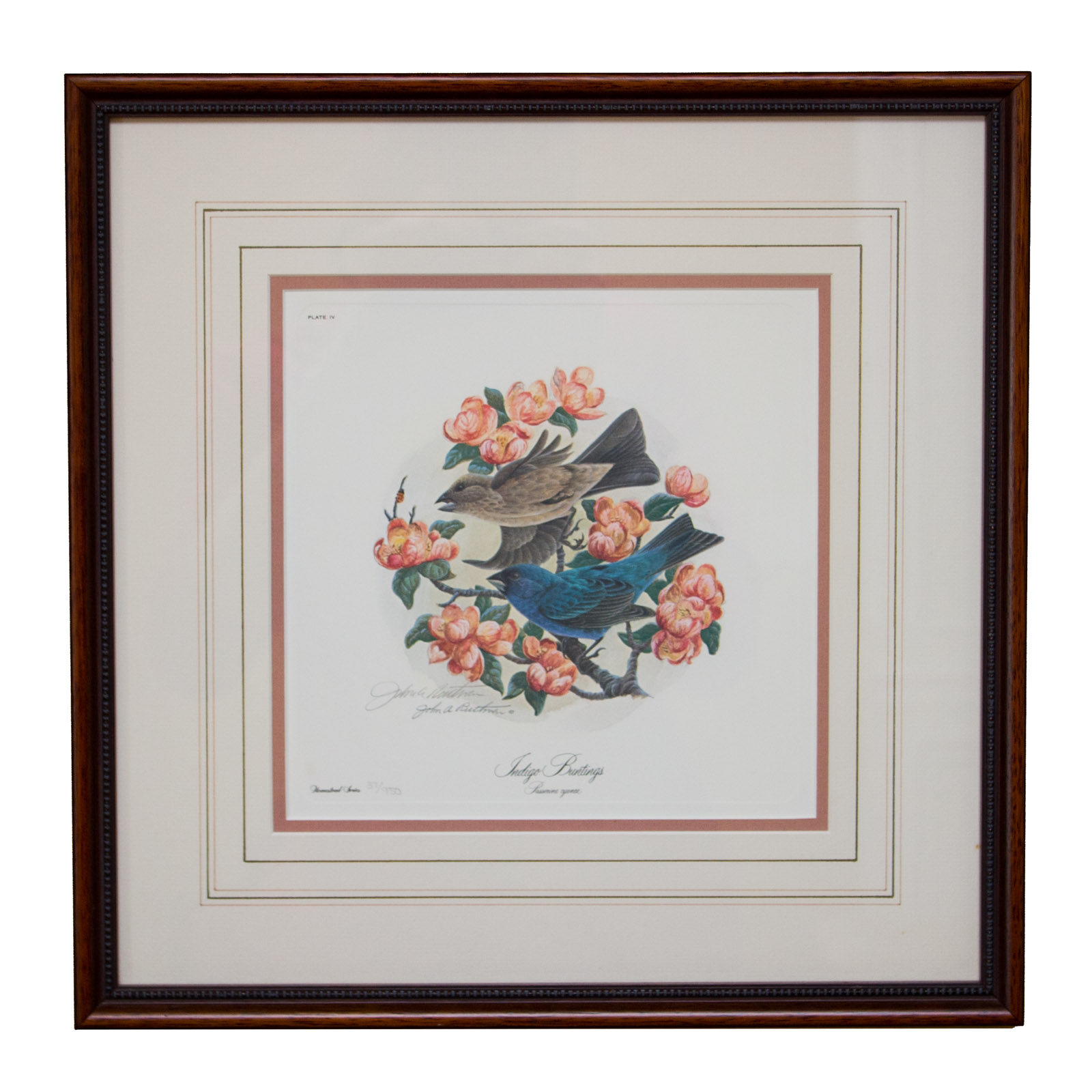 John Ruthven "Indigo Buntings" Signed Limited Edition Offset Lithograph