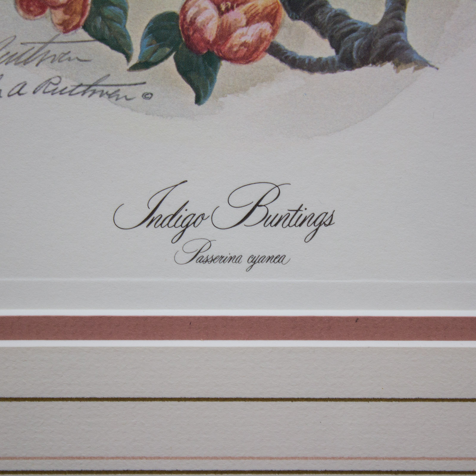 John Ruthven "Indigo Buntings" Signed Limited Edition Offset Lithograph