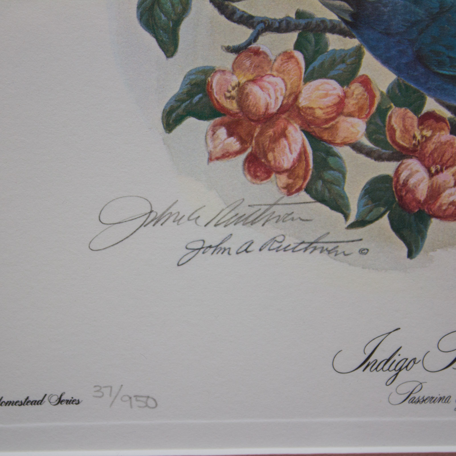John Ruthven "Indigo Buntings" Signed Limited Edition Offset Lithograph