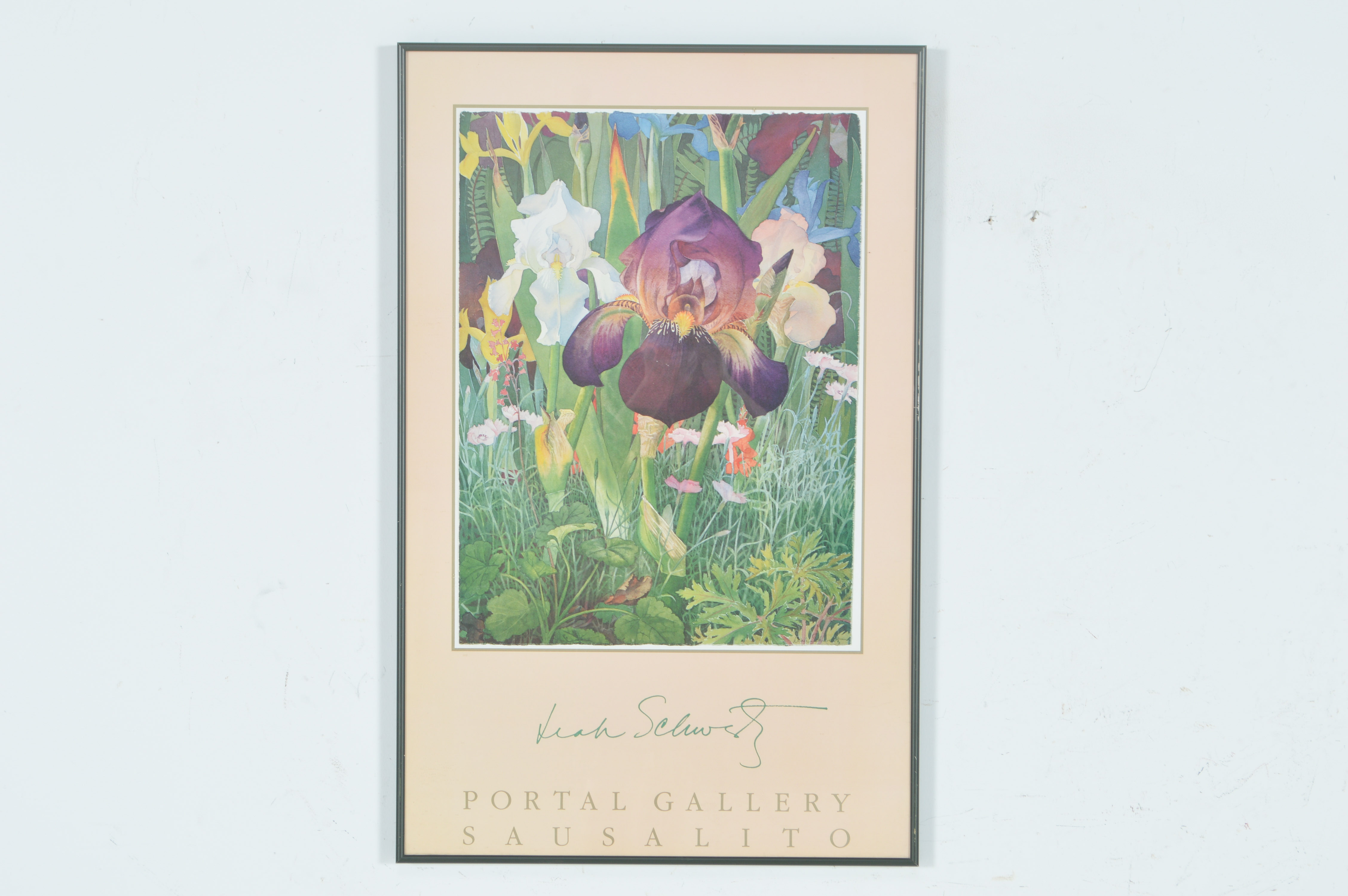 Leah Schwartz Framed Irises Poster