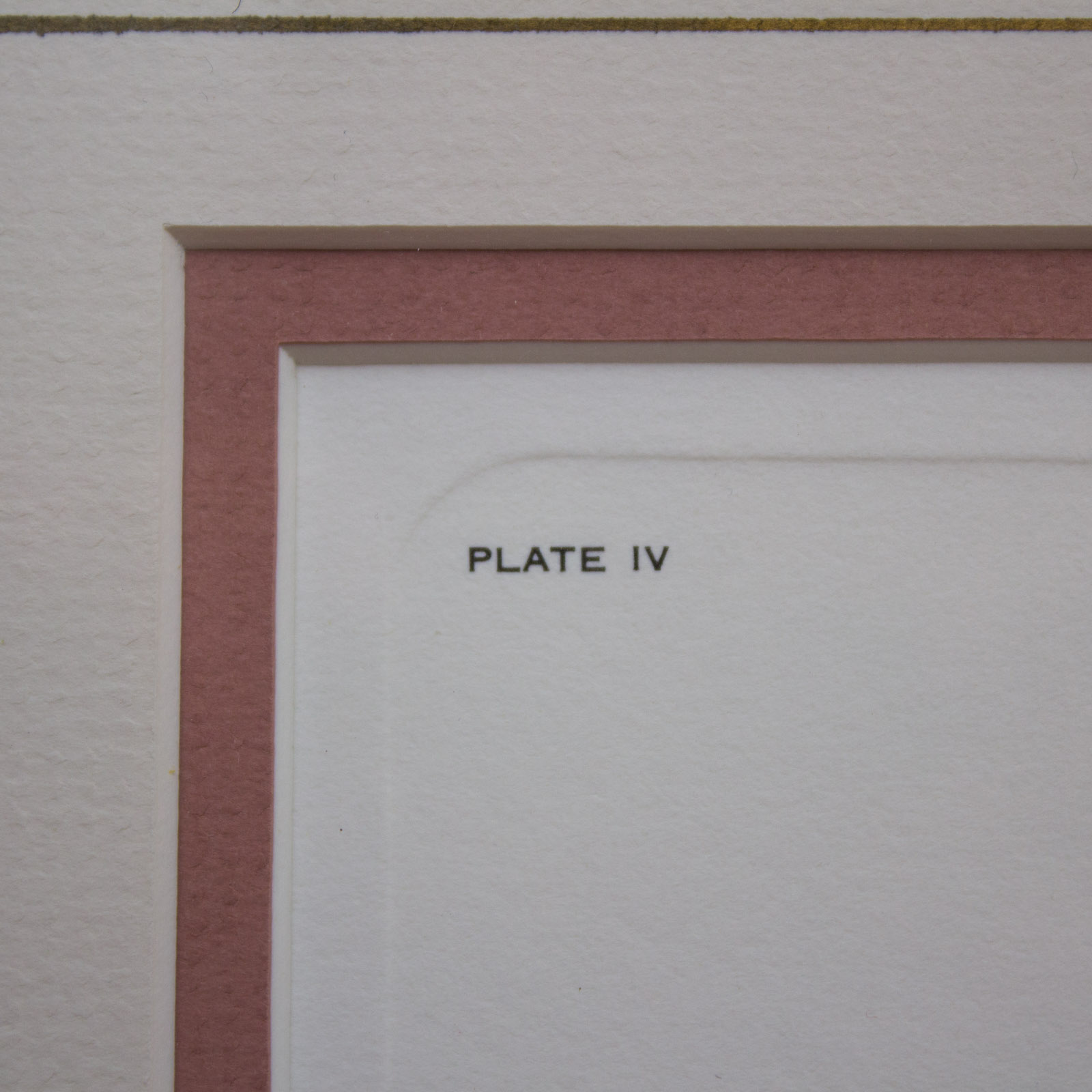 John Ruthven "Indigo Buntings" Signed Limited Edition Offset Lithograph