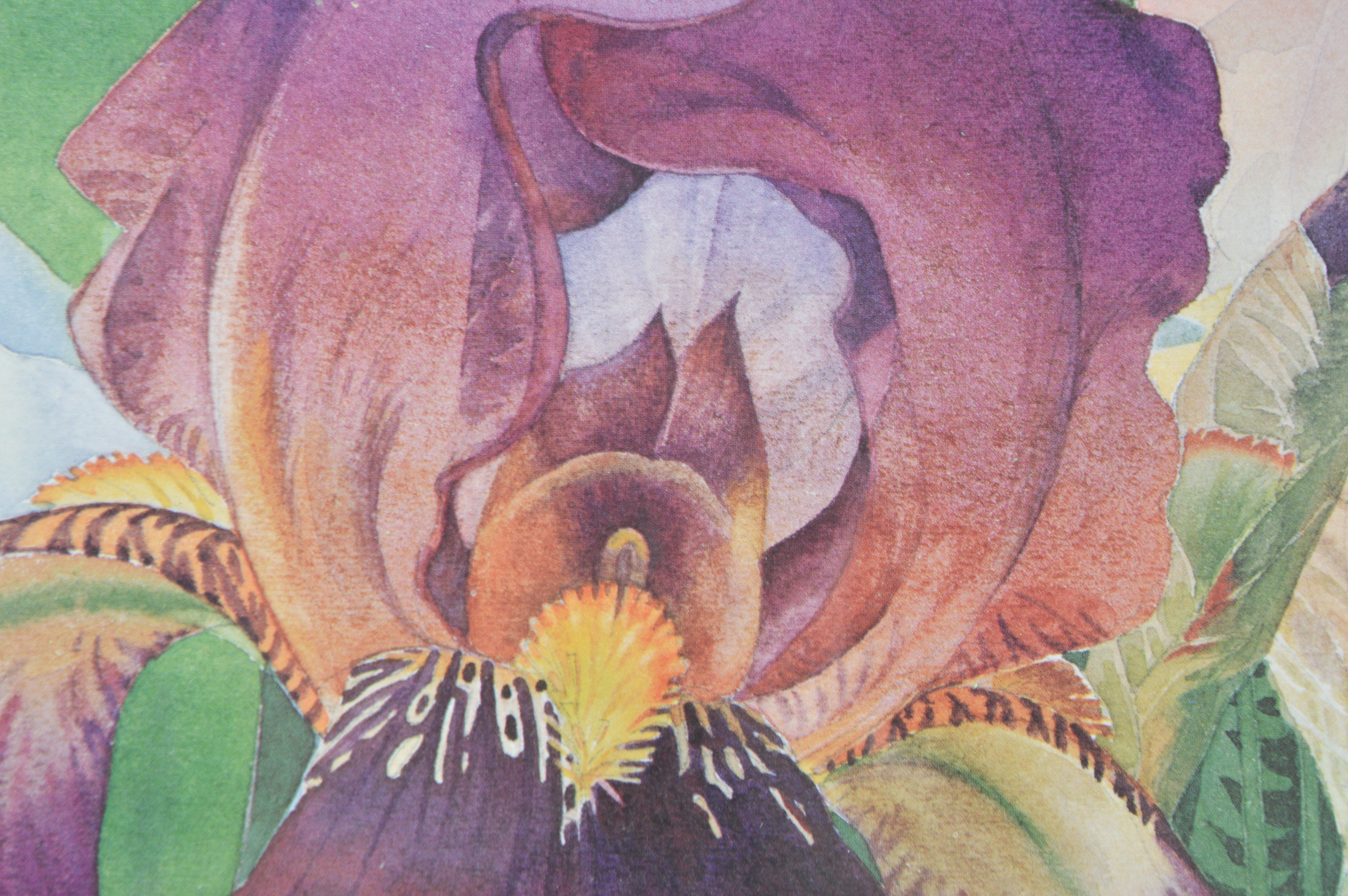 Leah Schwartz Framed Irises Poster