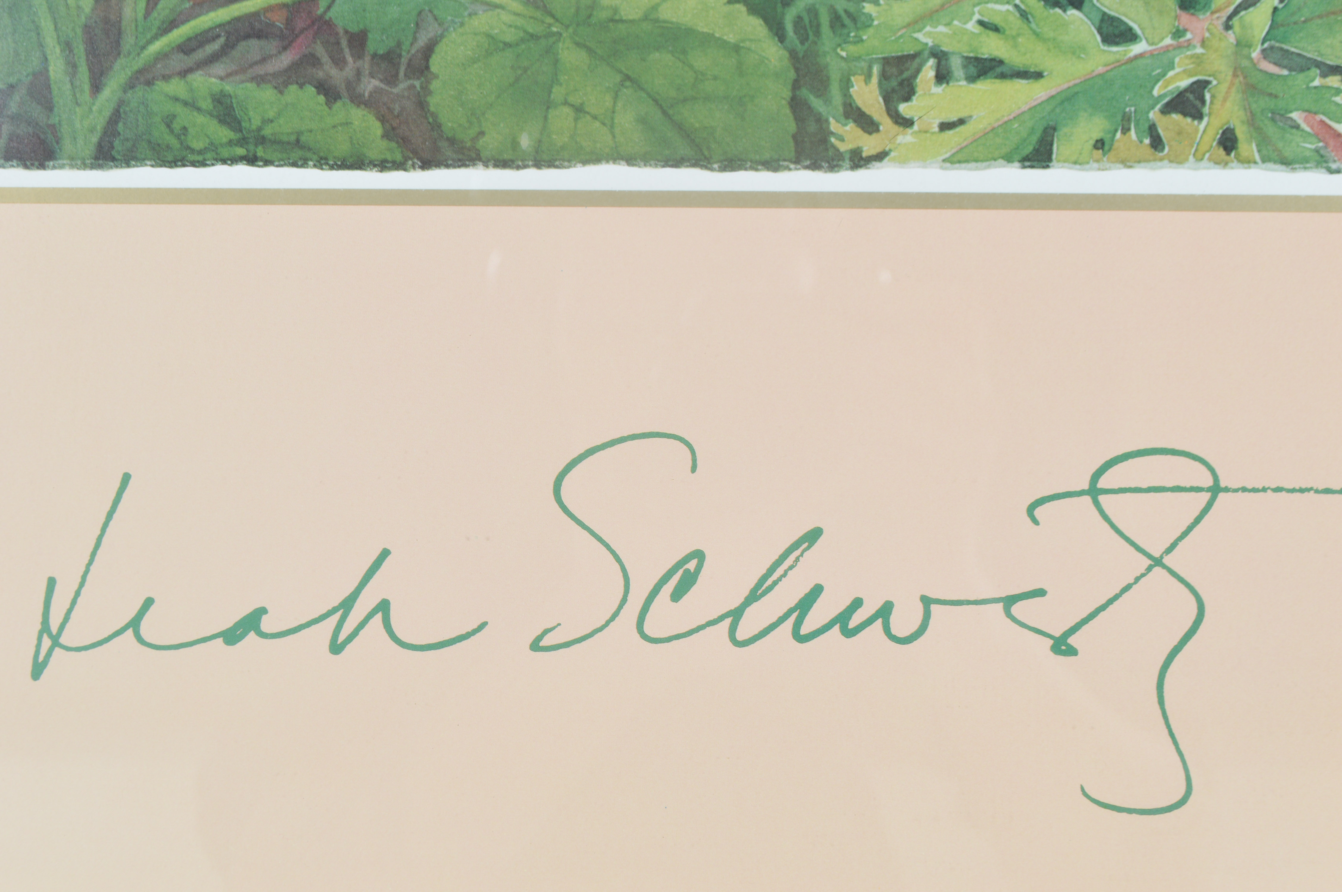 Leah Schwartz Framed Irises Poster