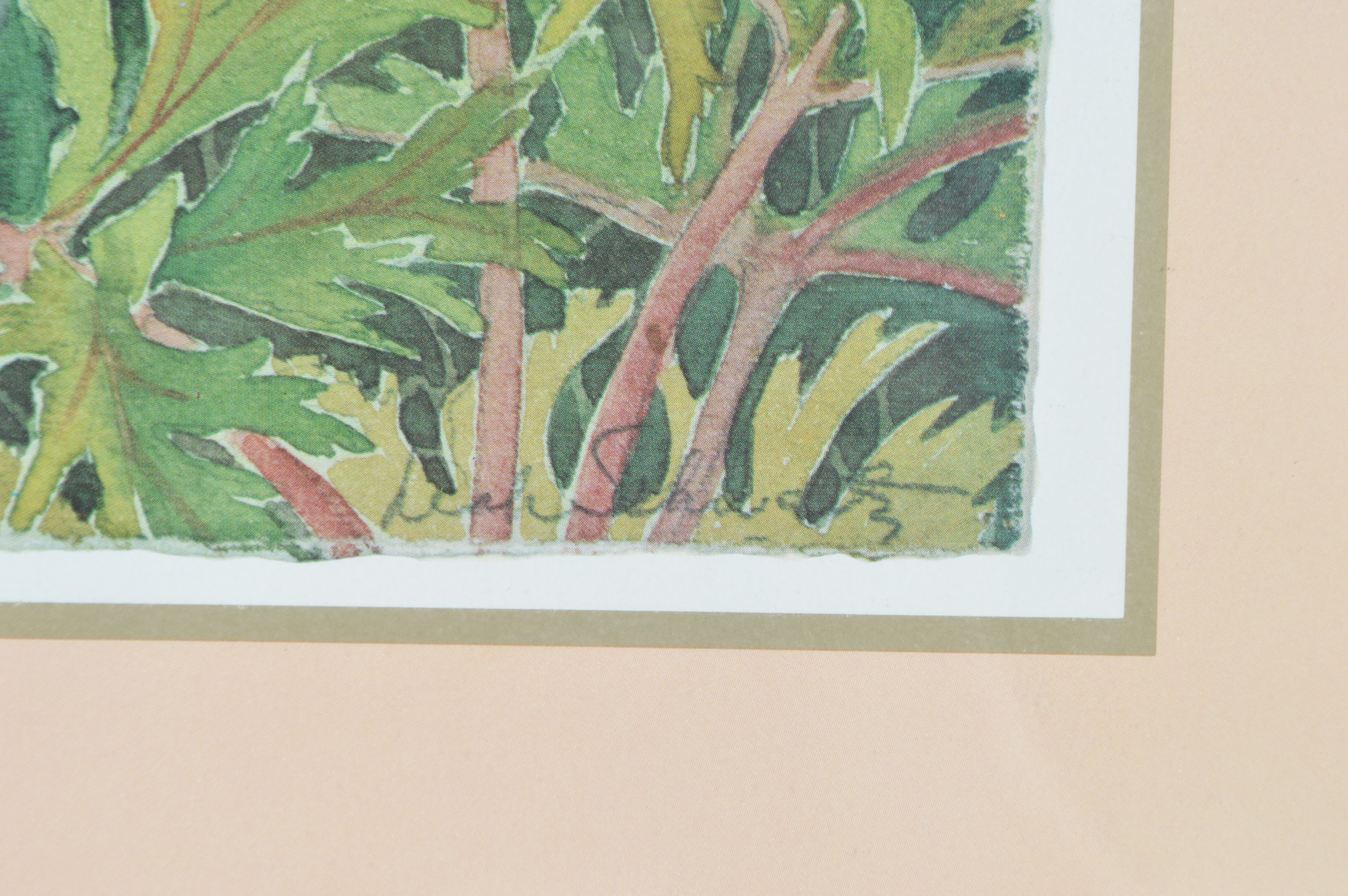 Leah Schwartz Framed Irises Poster