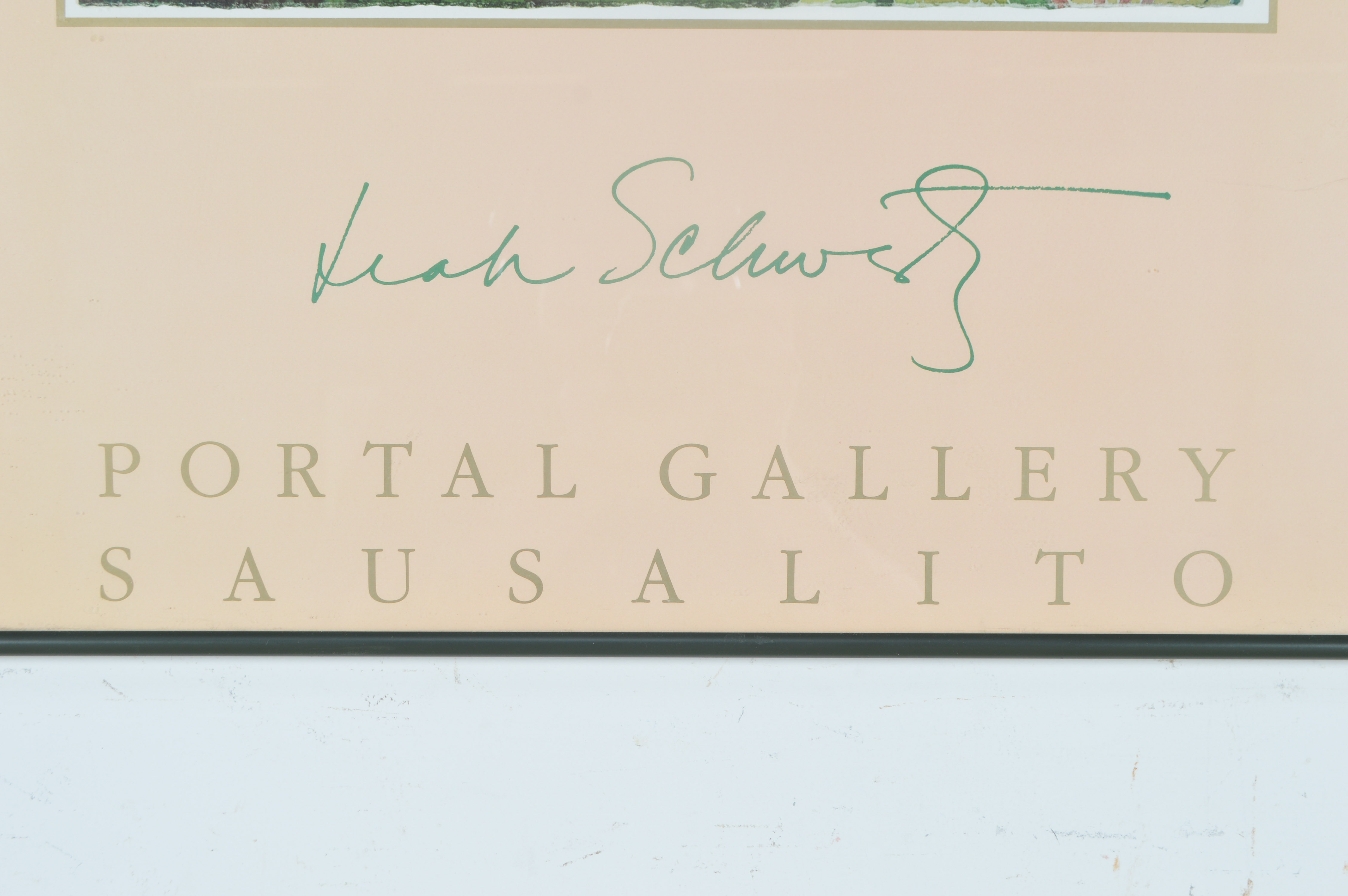 Leah Schwartz Framed Irises Poster