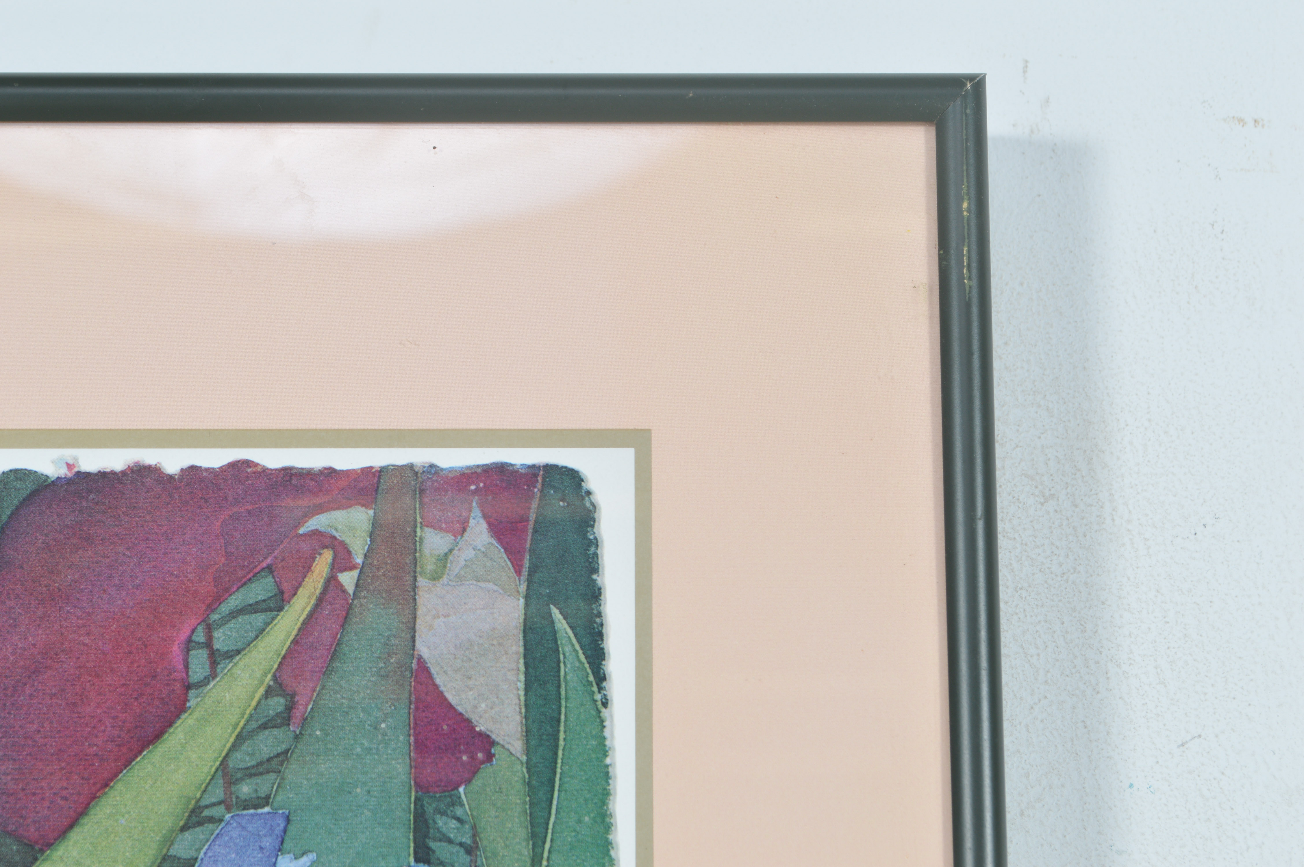 Leah Schwartz Framed Irises Poster