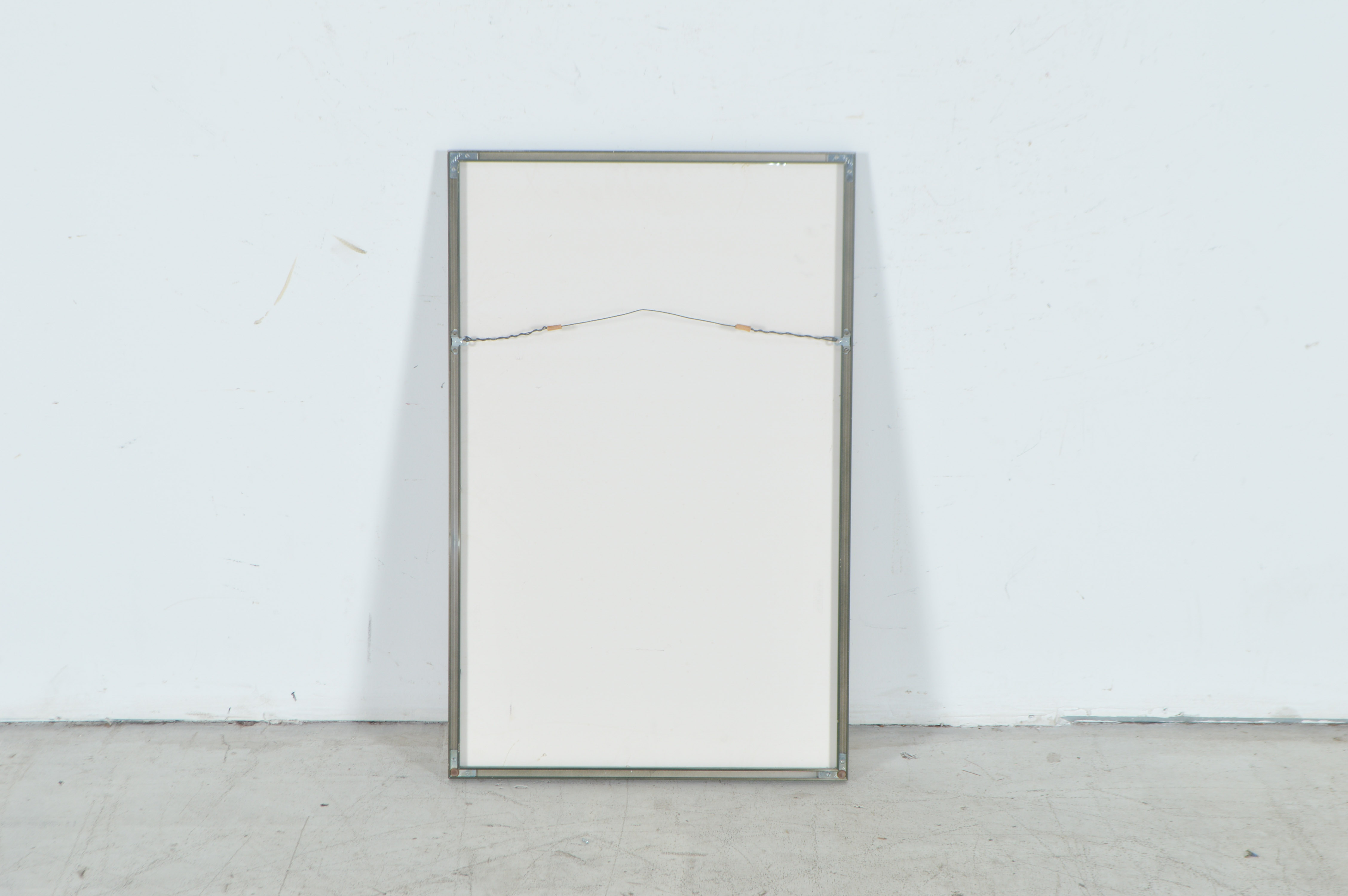 Leah Schwartz Framed Irises Poster