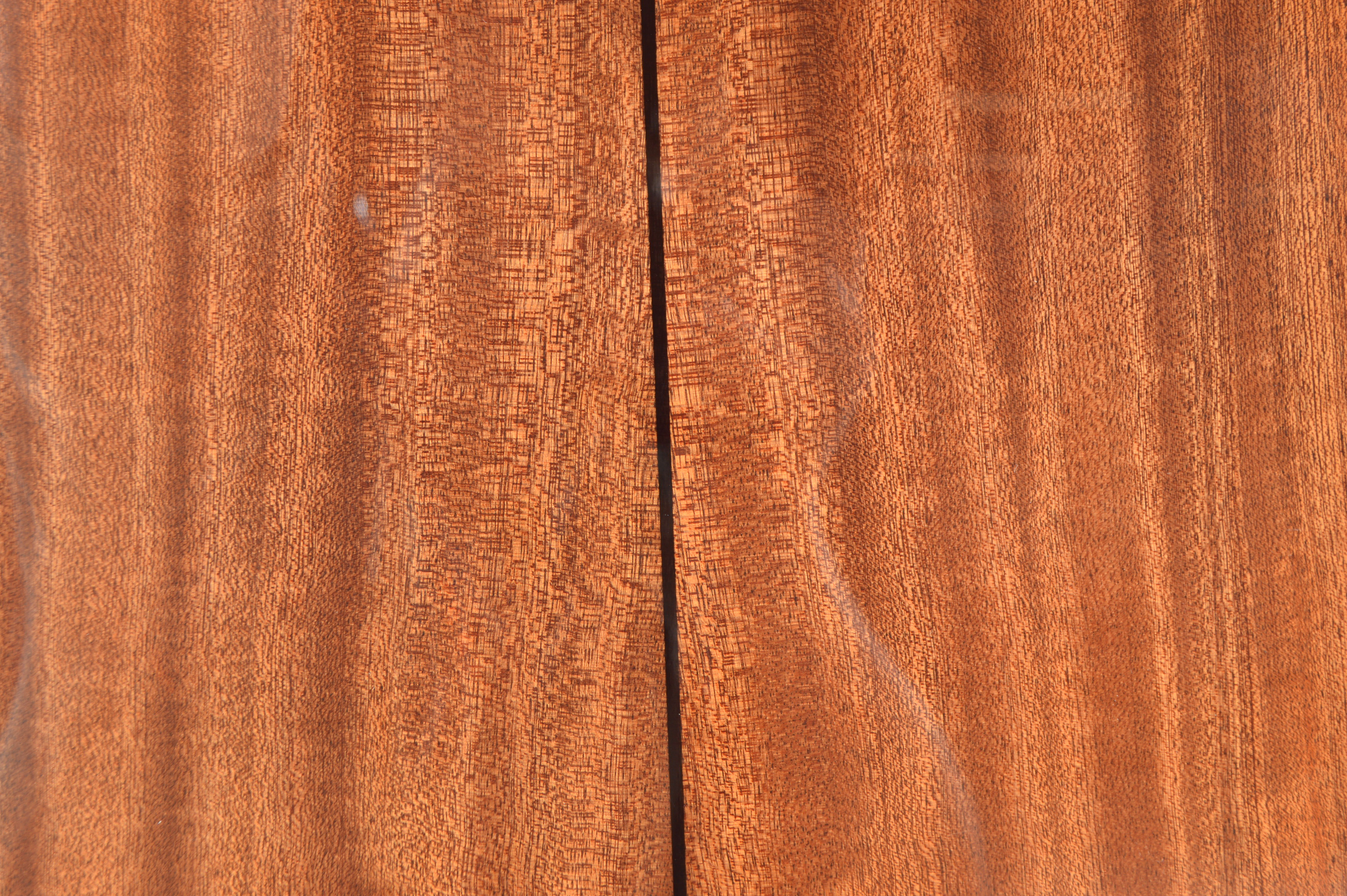 Epiphone Series Acoustic Guitar