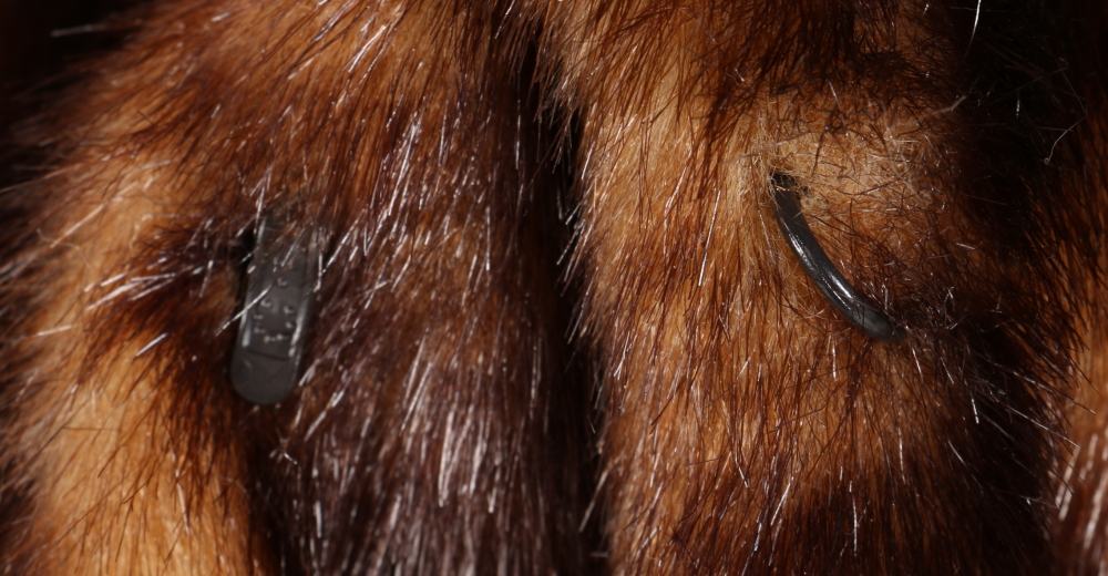 Pamela McCoy Faux Fur Coat