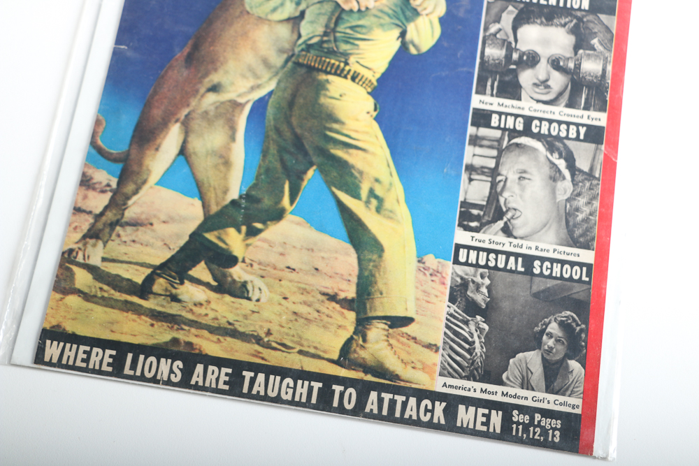 Large Collection of Vintage Advertisements