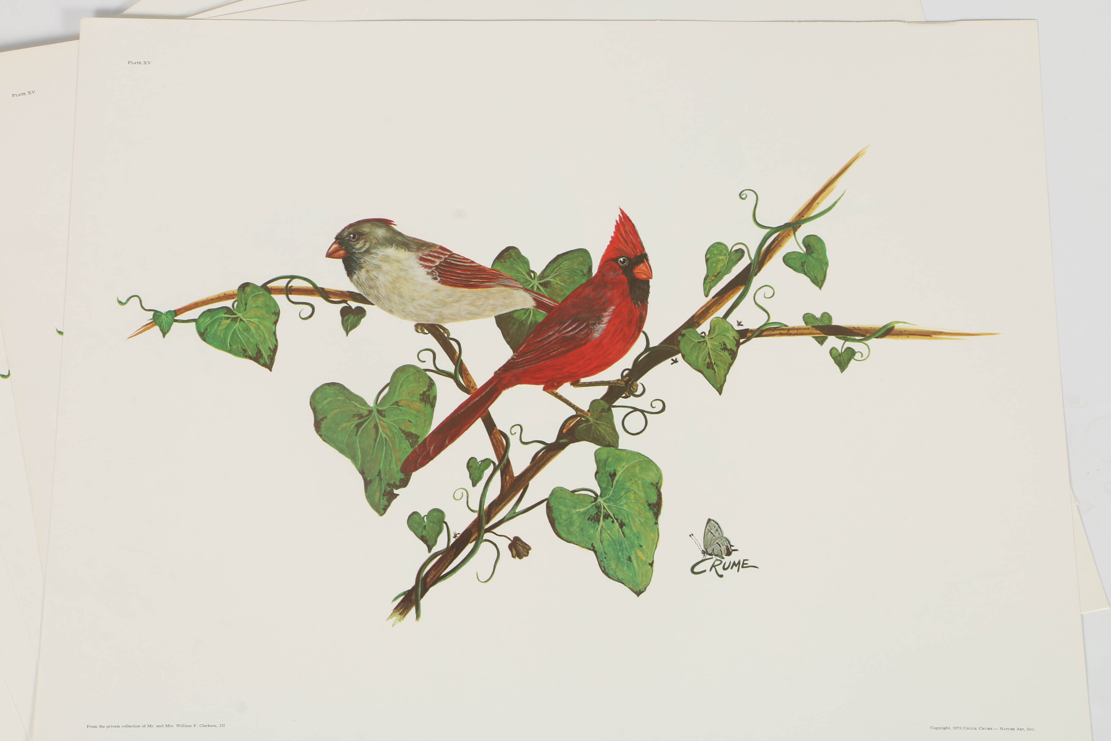 After Charles T. Crume Offset Lithographs of Cardinals