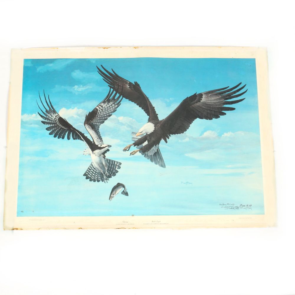 1964 Ray Harm Offset Lithograph of an Eagle and Osprey