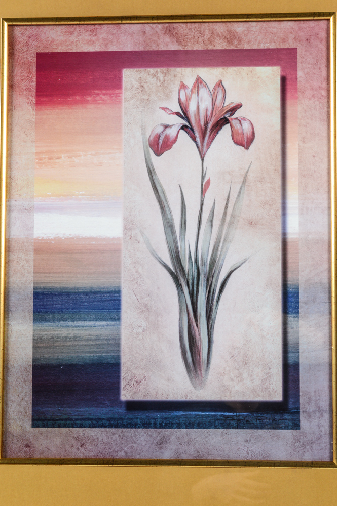 Floral Offset Lithograph Prints