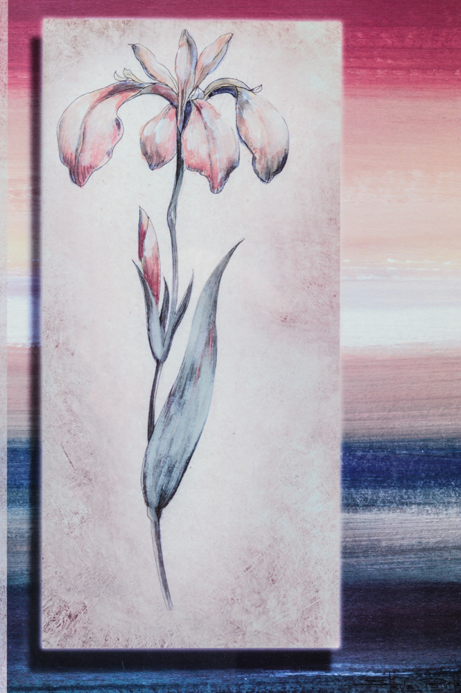 Floral Offset Lithograph Prints