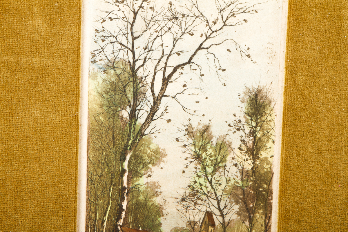 Framed Intaglio Nature Print