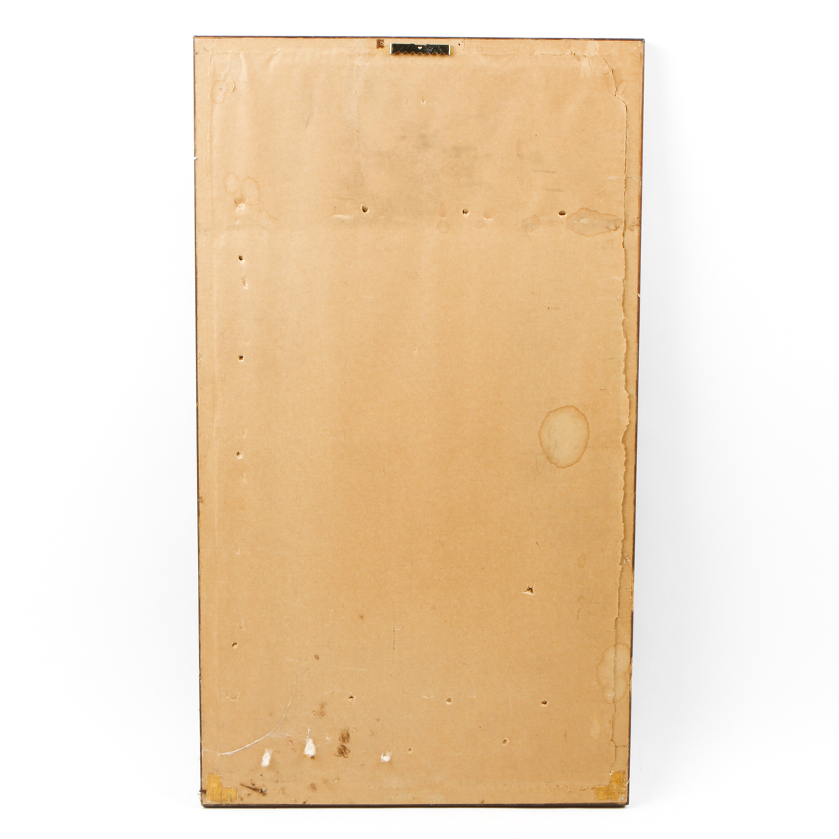 Framed Intaglio Nature Print