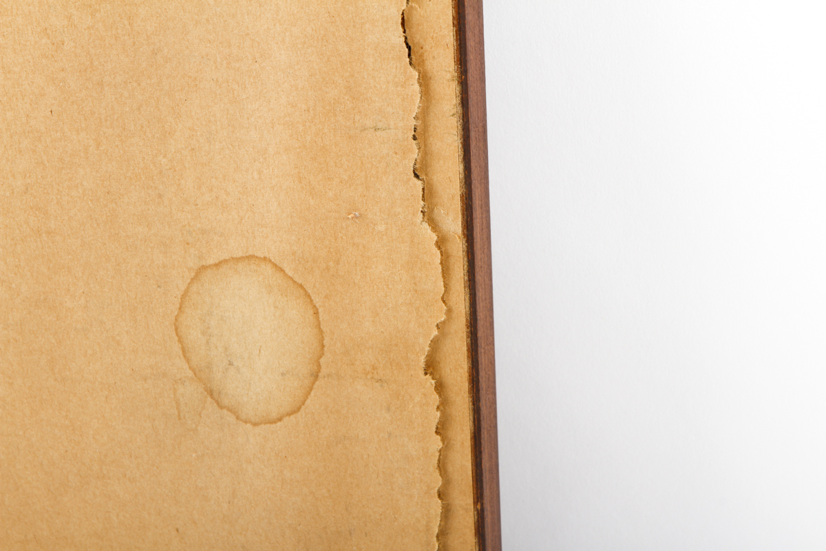 Framed Intaglio Nature Print