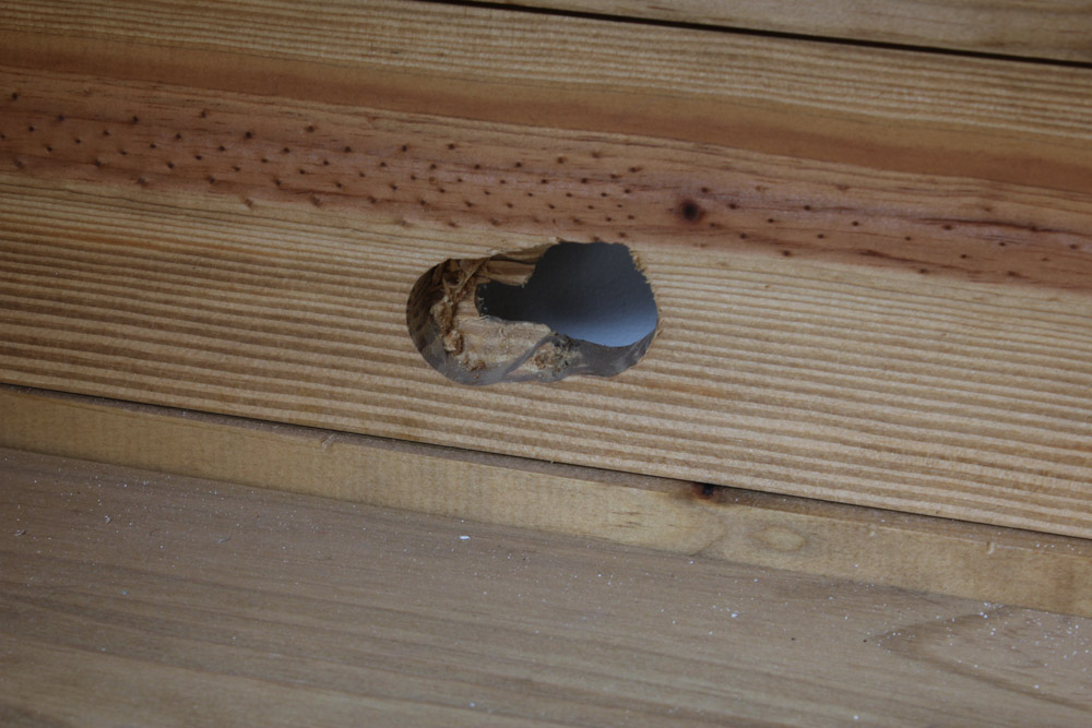 Pine Bookcase with Bottom Cabinet