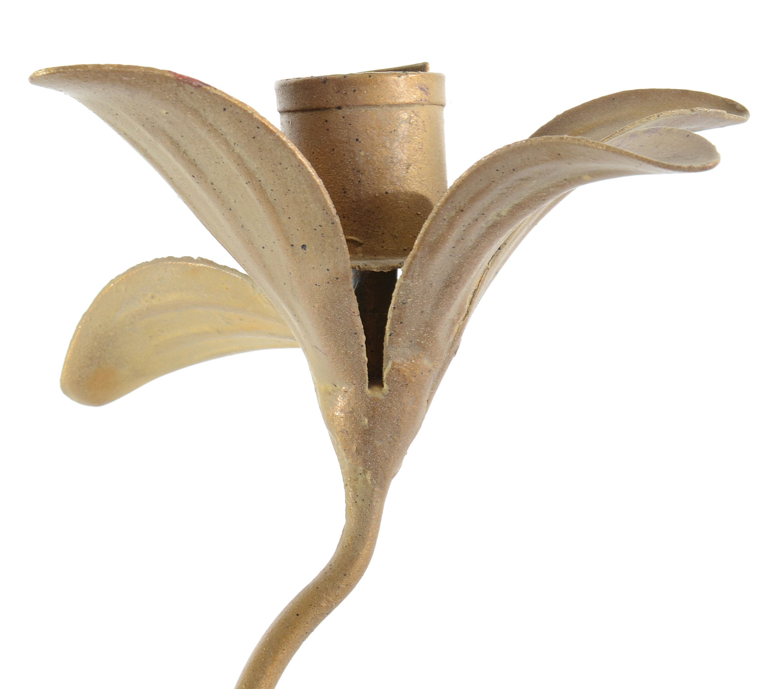 Pair of Floral Wall Sconces