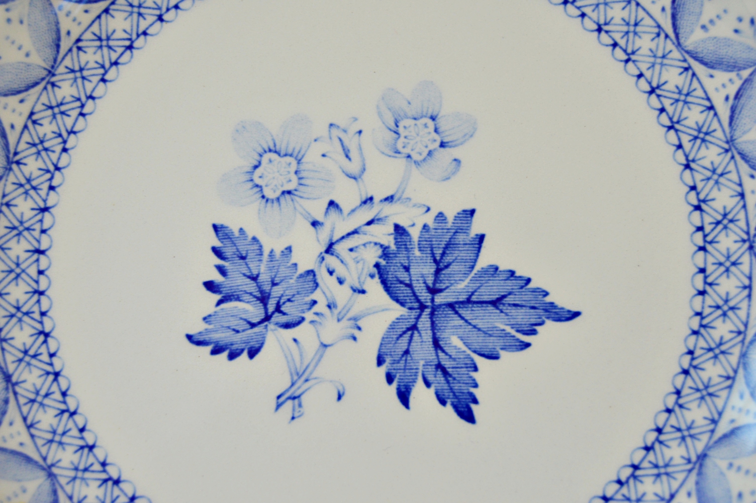 Spode "Geranium" Dinnerware