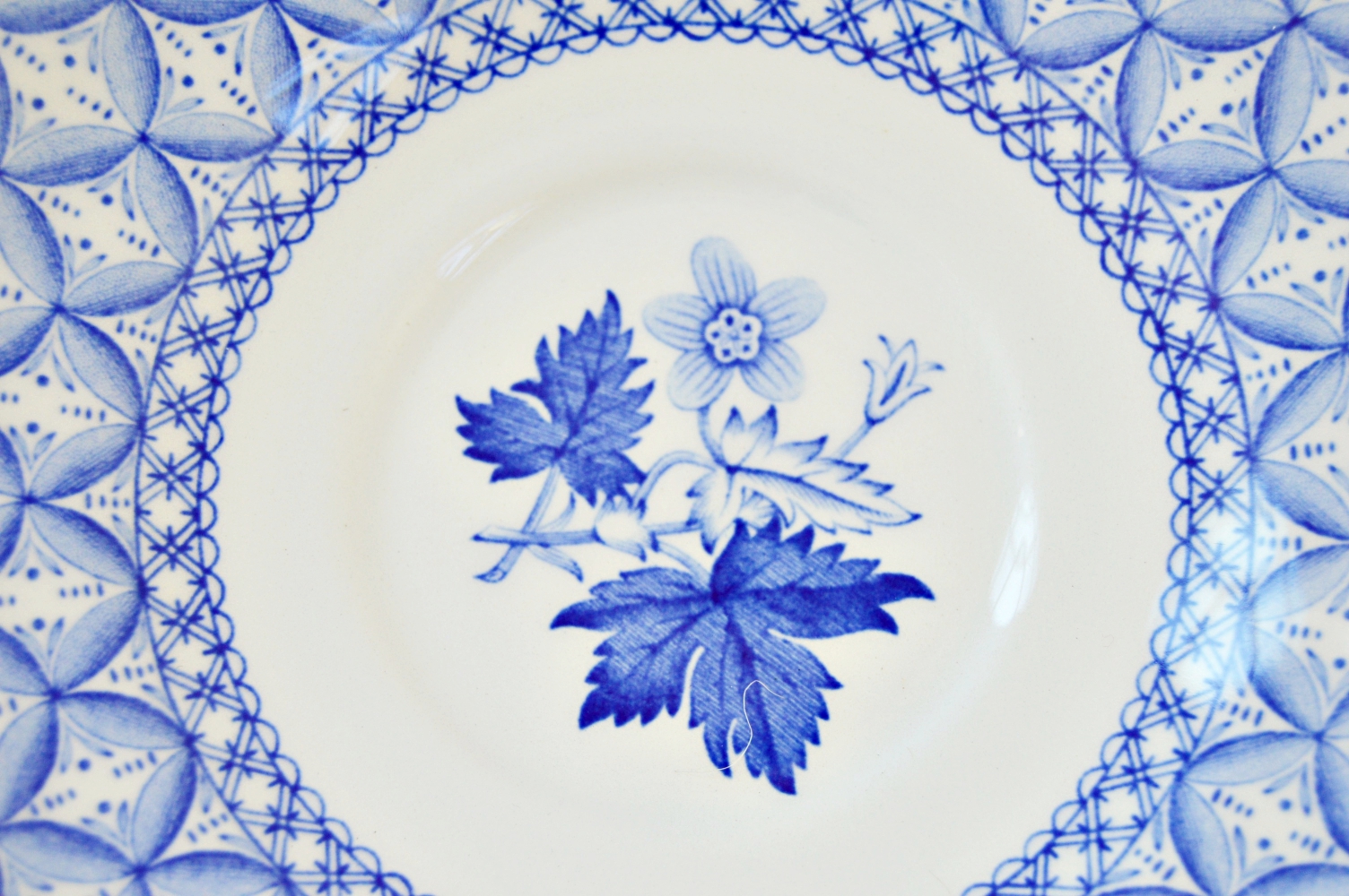 Spode "Geranium" Dinnerware