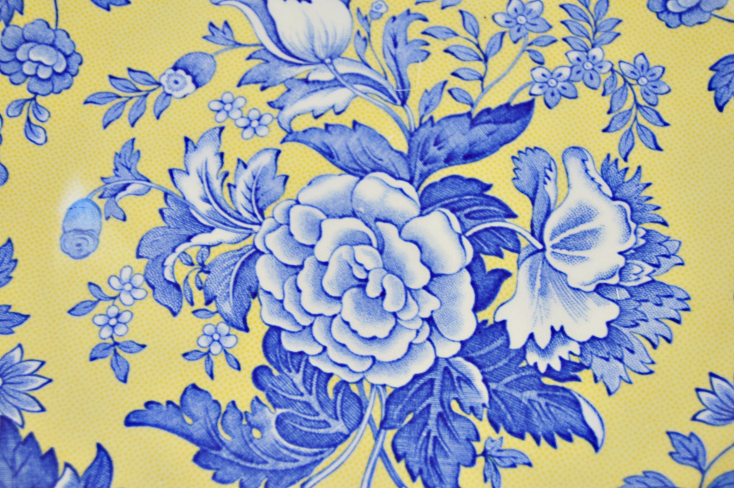 Spode Garden Collection Tableware