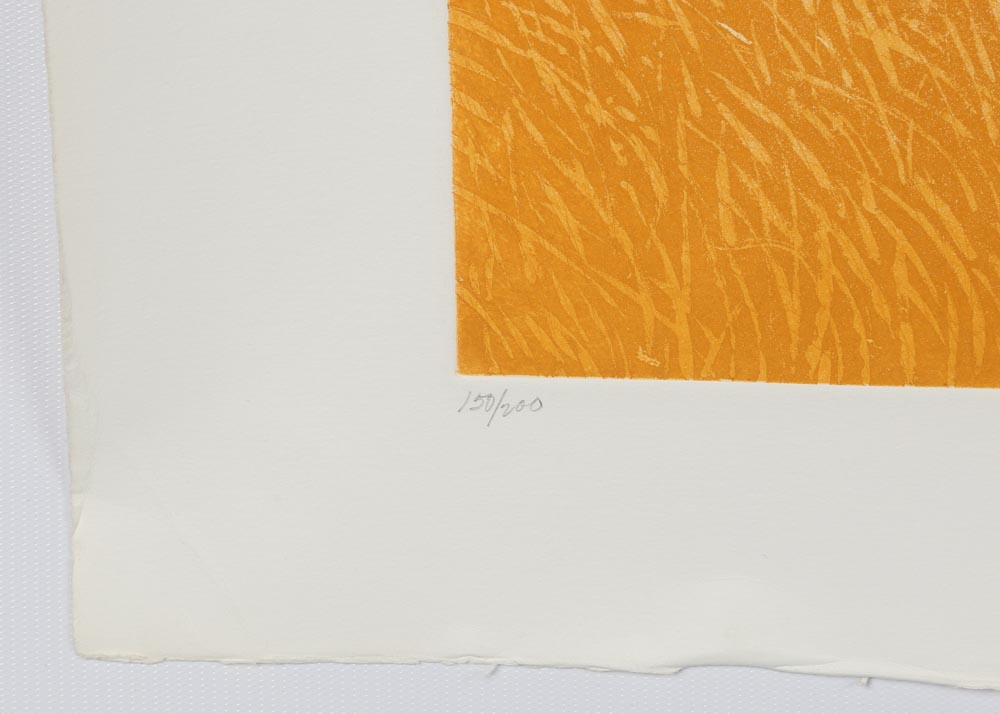 Pamela Parish Limited Edition Aquatint Etching "Malibu Golden"