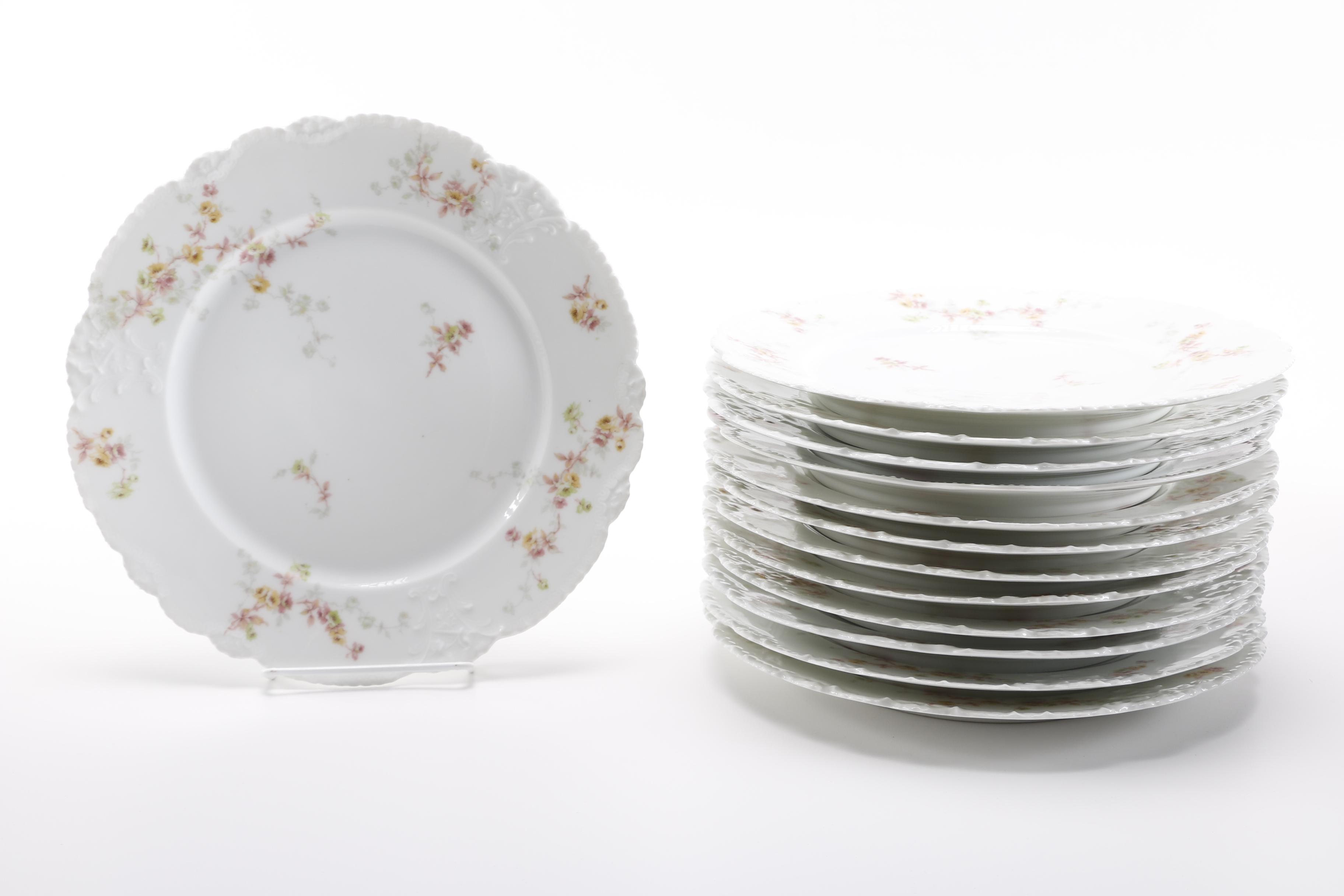 Théodore Haviland Limoges Porcelain Dishes