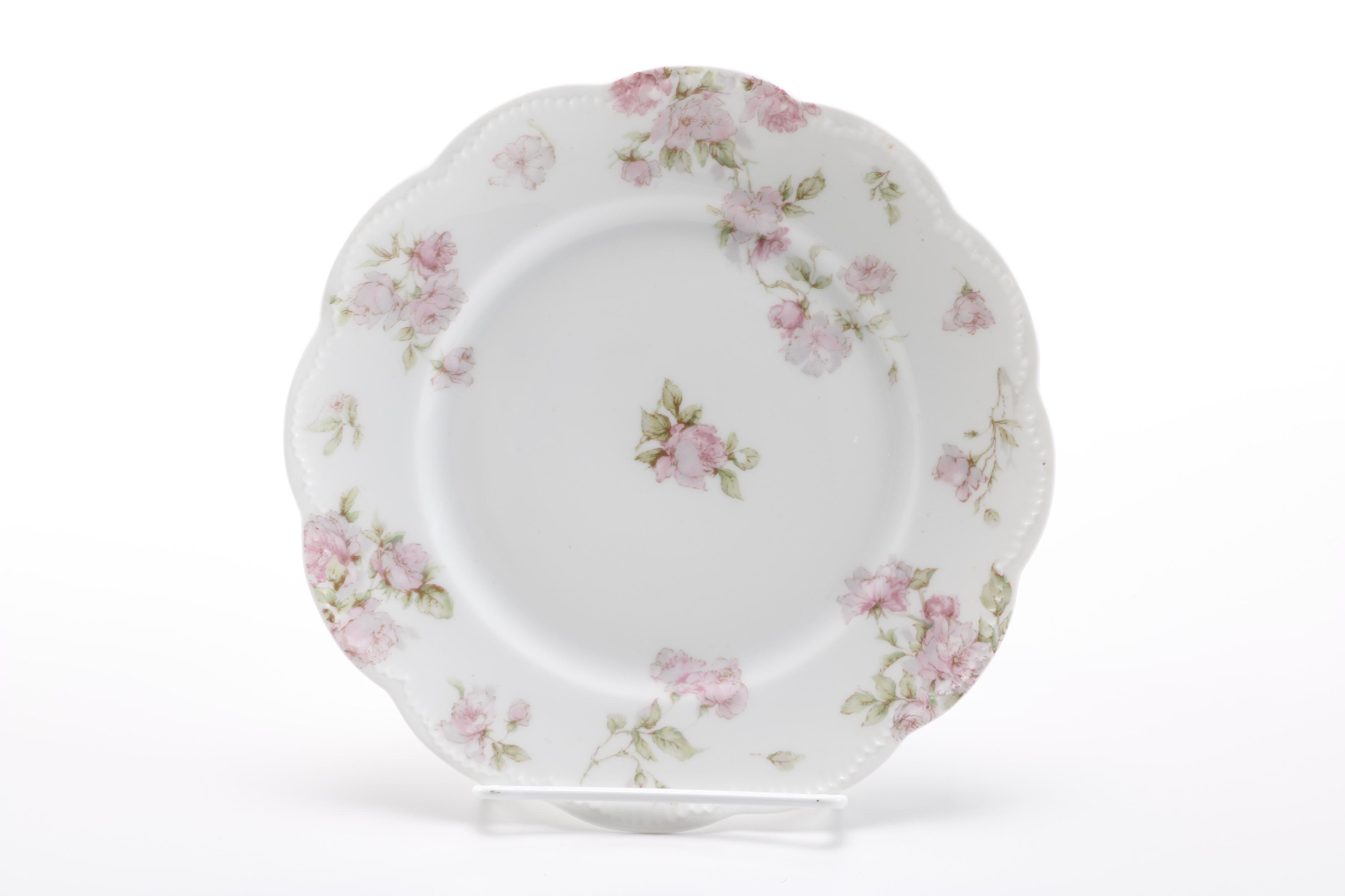 Théodore Haviland Limoges Porcelain Dishes