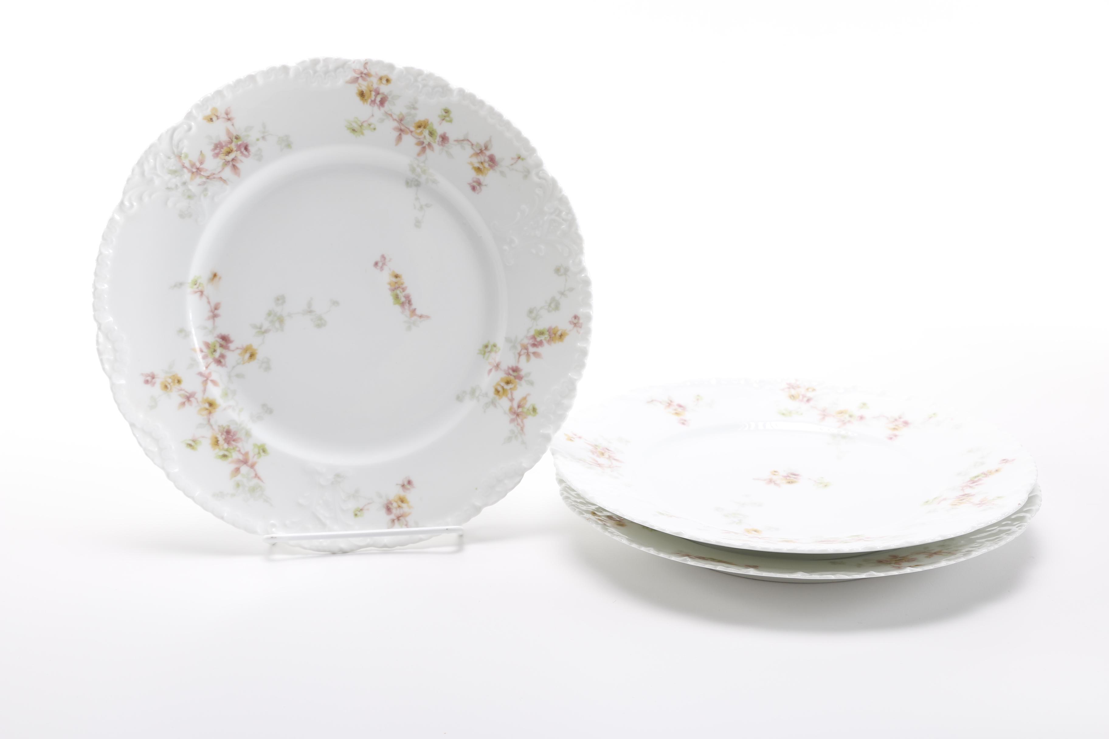 Théodore Haviland Limoges Porcelain Dishes