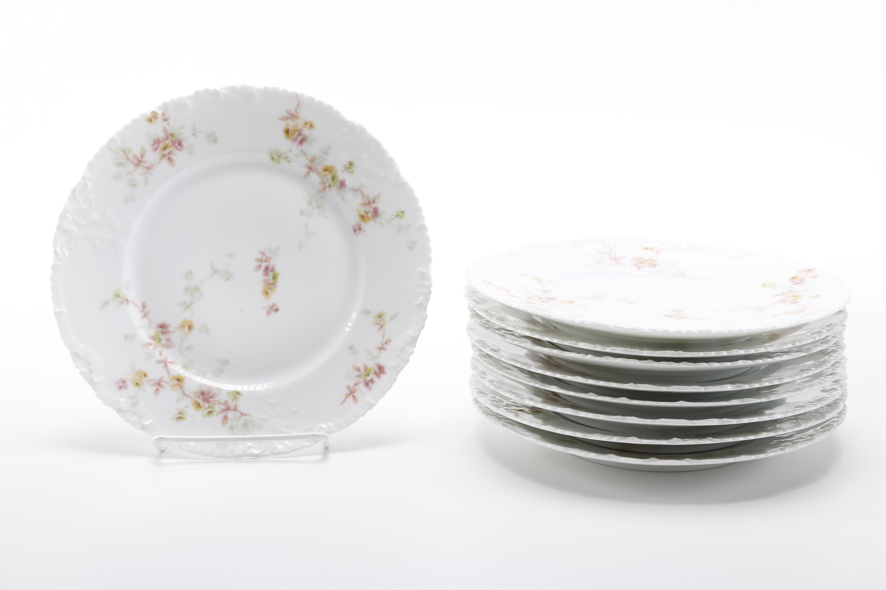 Théodore Haviland Limoges Porcelain Dishes