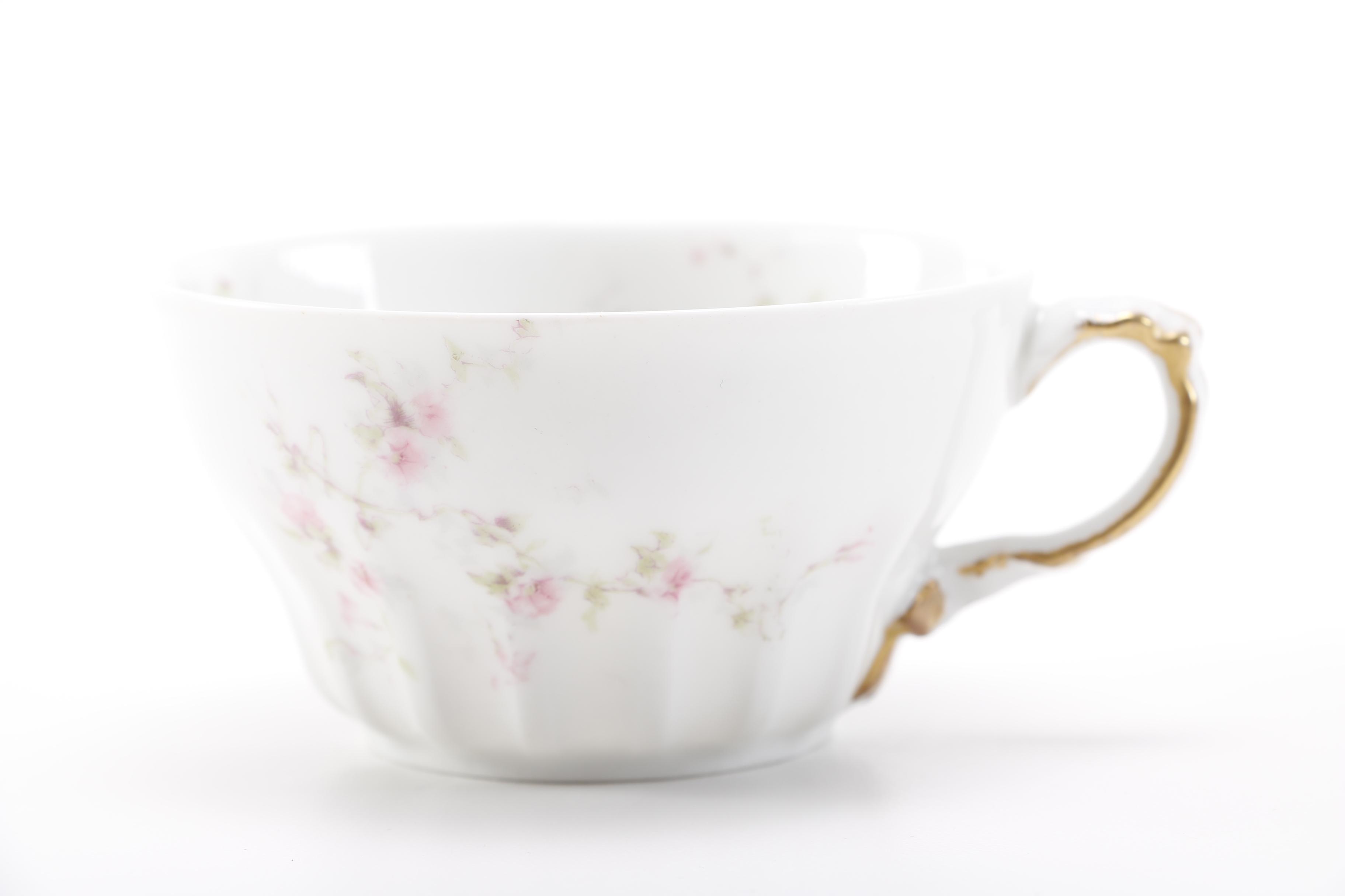 Théodore Haviland Limoges Porcelain Dishes