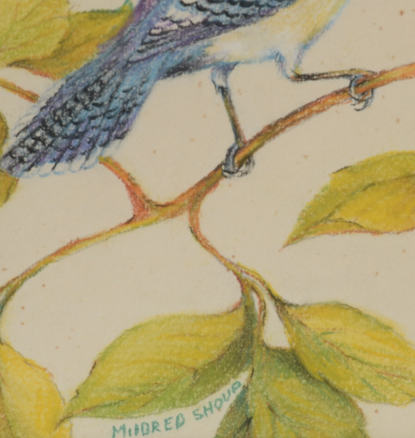 Mildred Shoud Original Pastel Drawing