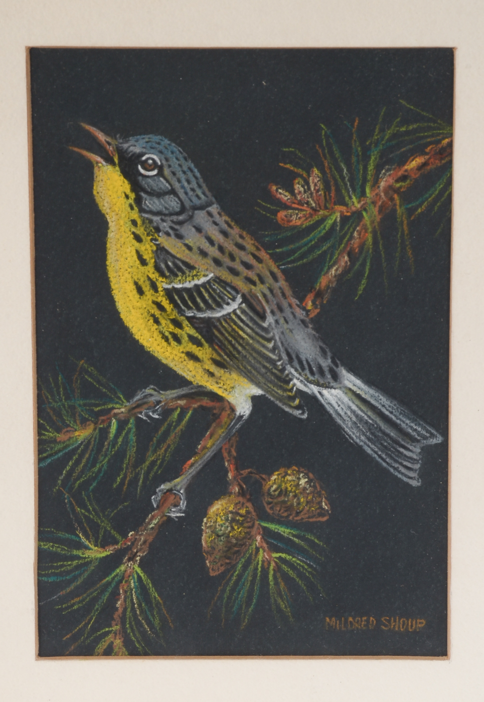 Pair of Original Pastel Drawings by Mildred Shoup