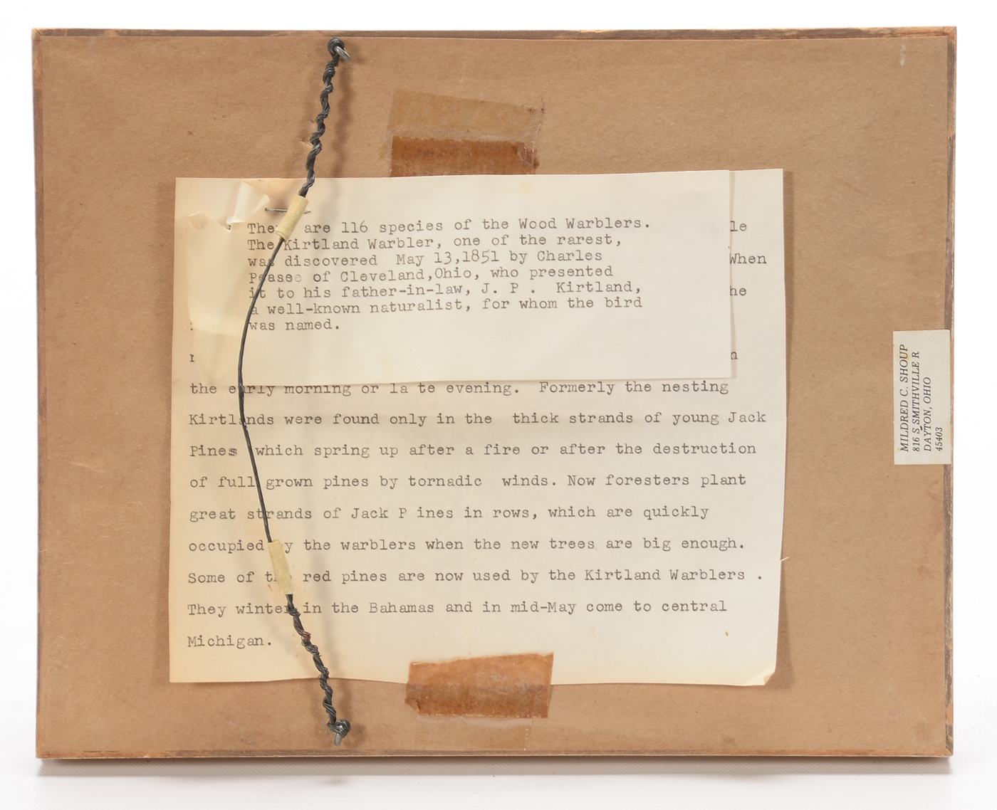 Pair of Original Pastel Drawings by Mildred Shoup