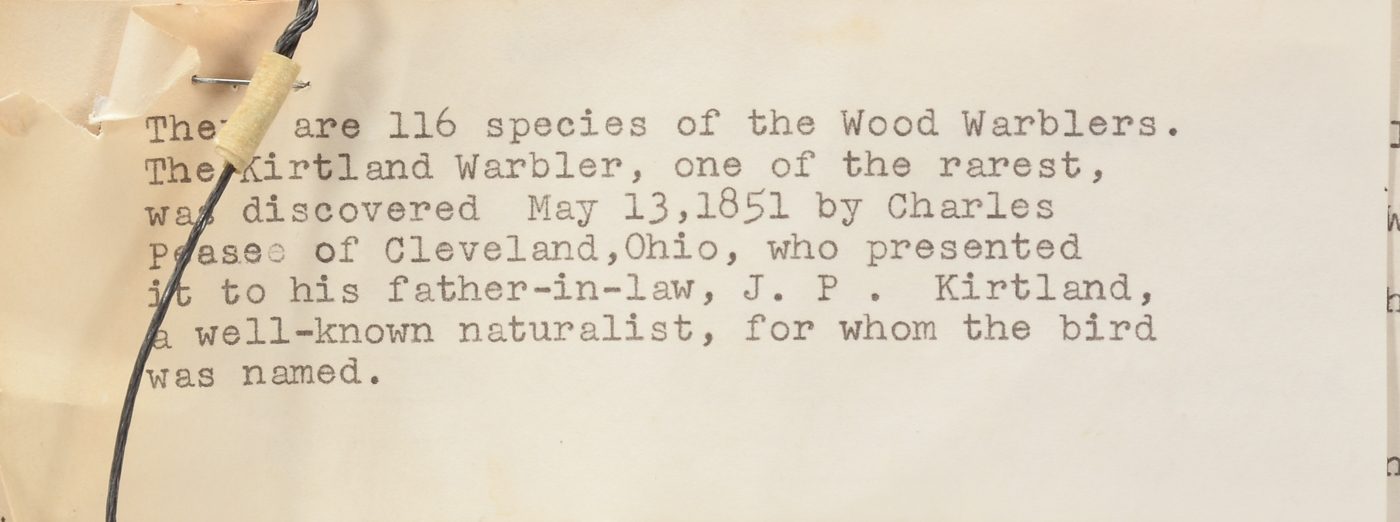 Pair of Original Pastel Drawings by Mildred Shoup