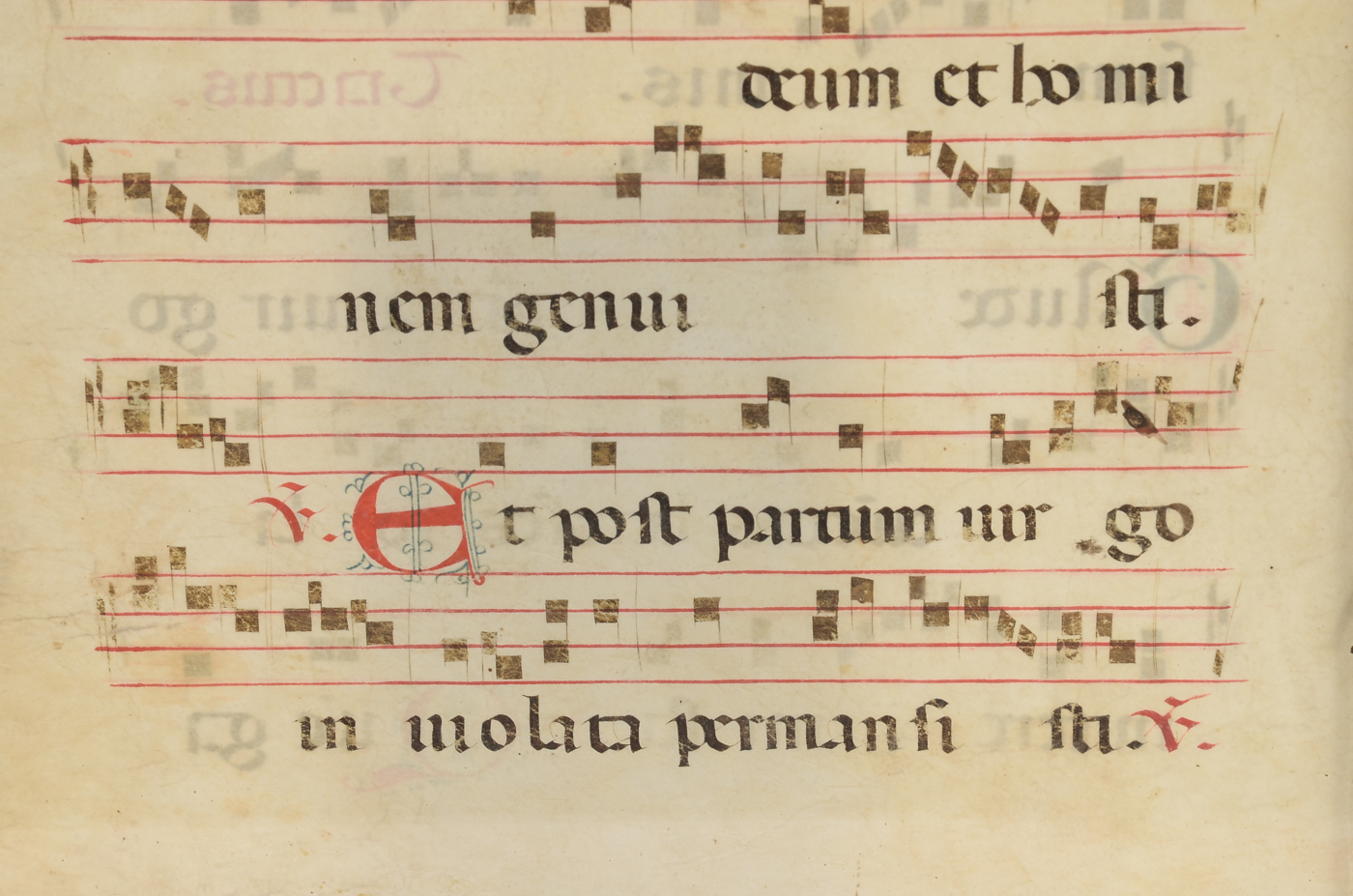 Antique Hymnal Leaf on Vellum