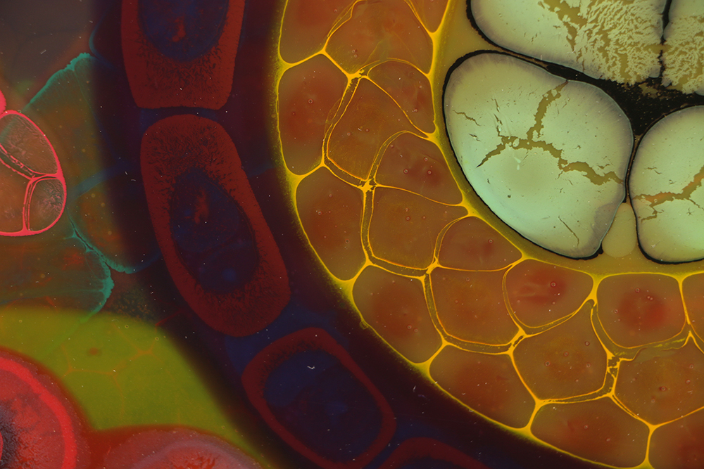 Bruce Riley Mixed Media on Panel "Bee Bonnet"