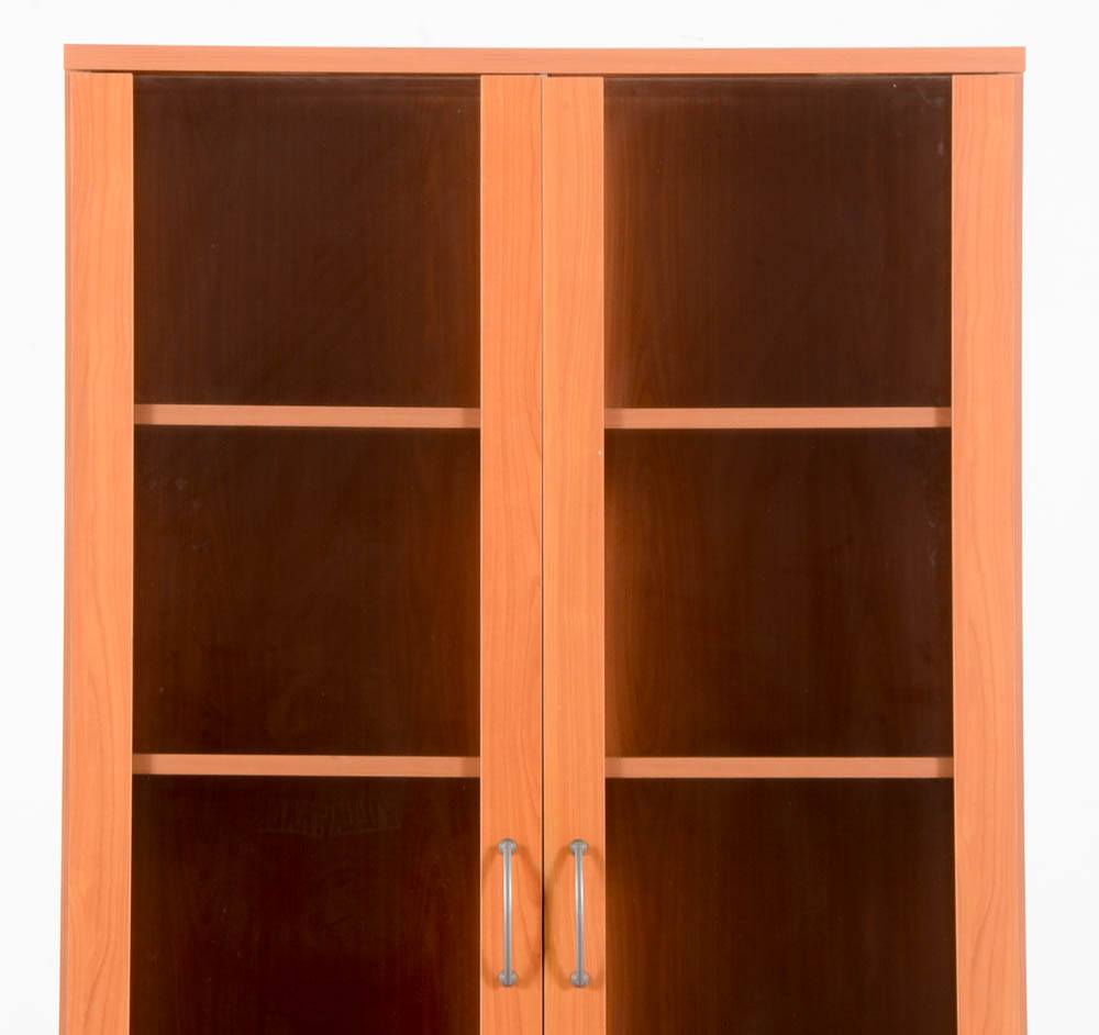 Contemporary Cabinet
