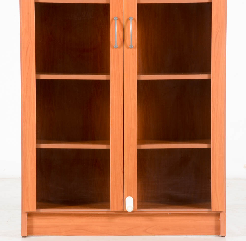 Contemporary Cabinet